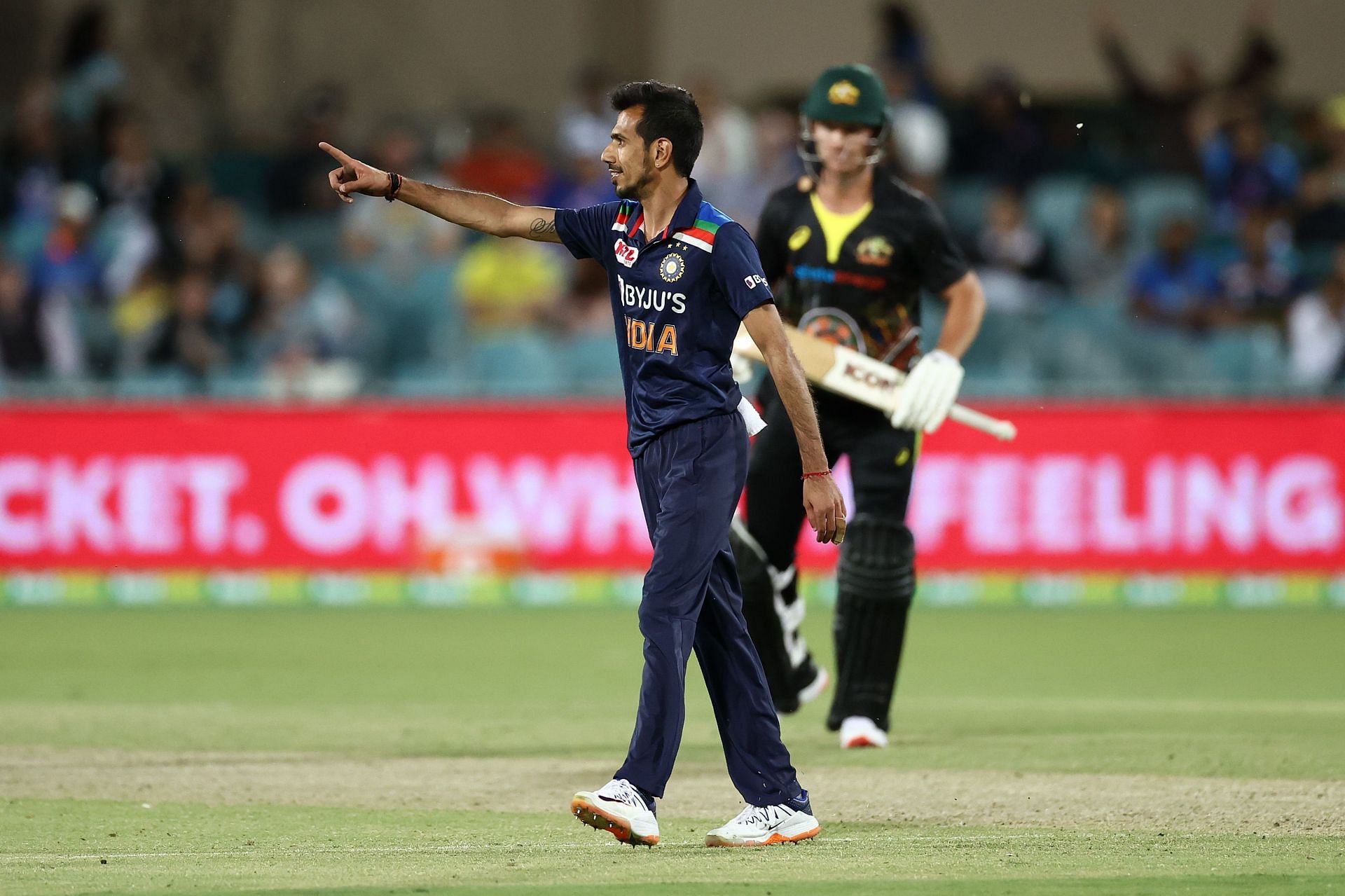 Indian team leg Yuzvendra Chahal celebrates after taking the wicket from Aaron Finch in the 2020 Canberra T20I. Image: Getty Images