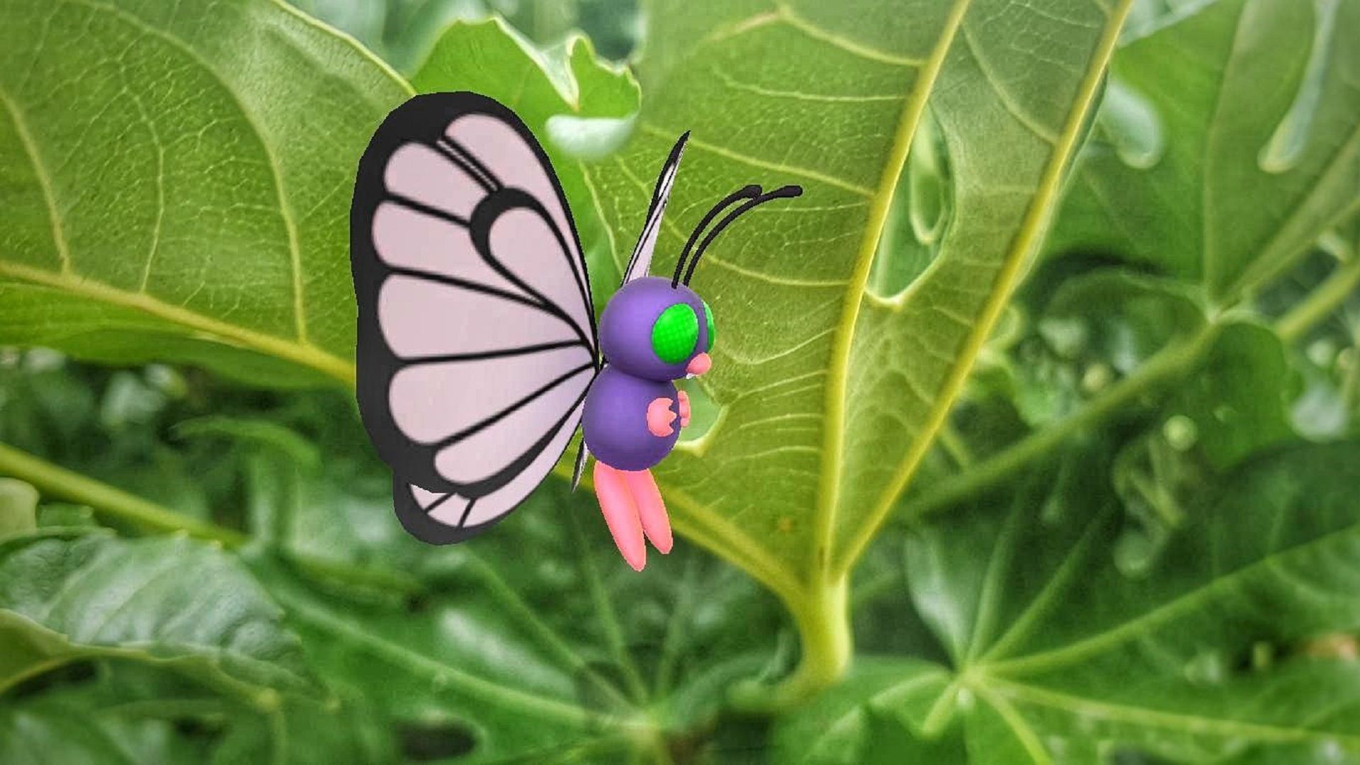 Pokemon GO Butterfree guide Best counters, weaknesses, and more