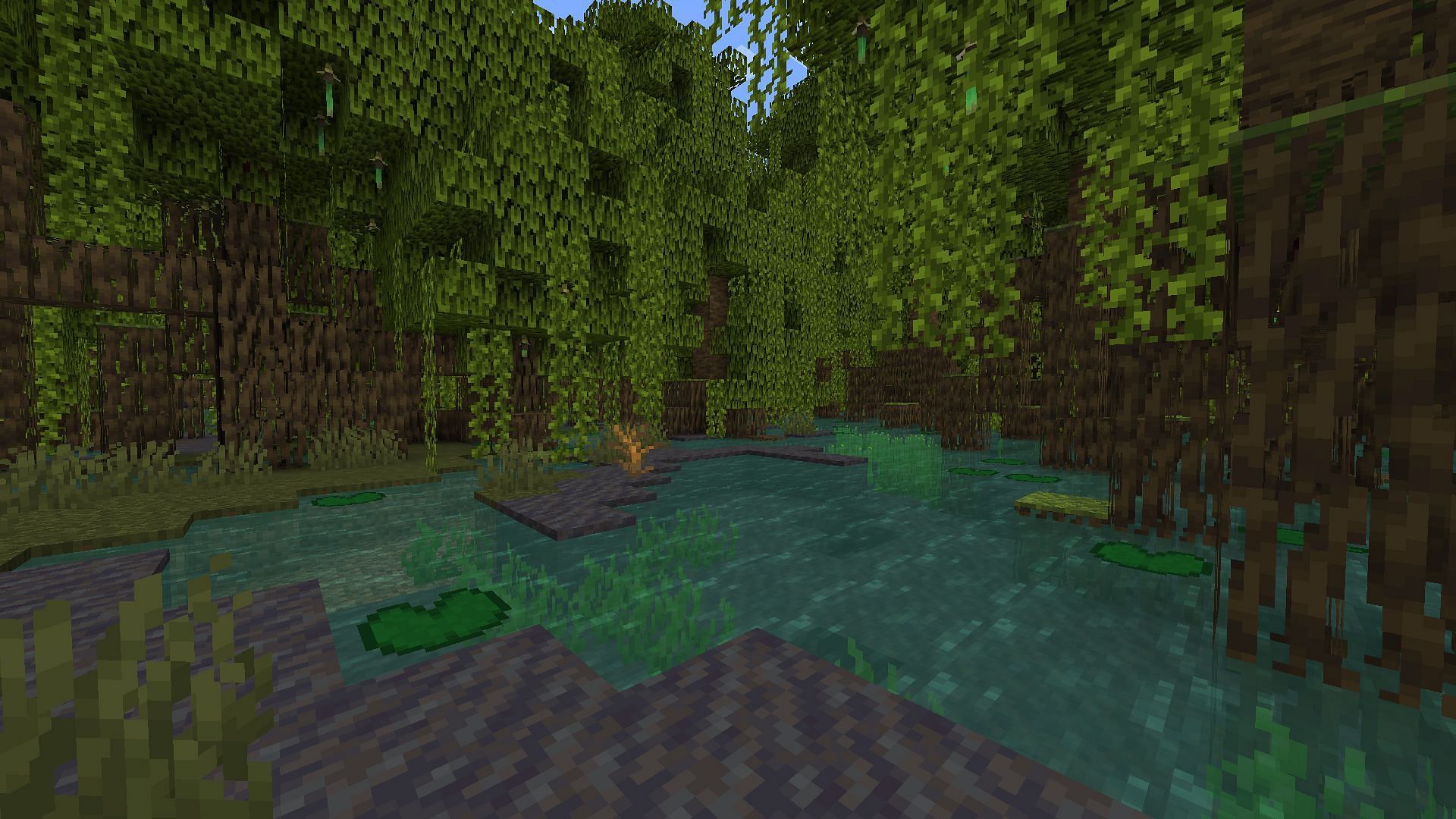 Massive Mangrove Swamp biome area in Minecraft (Image via Mojang)