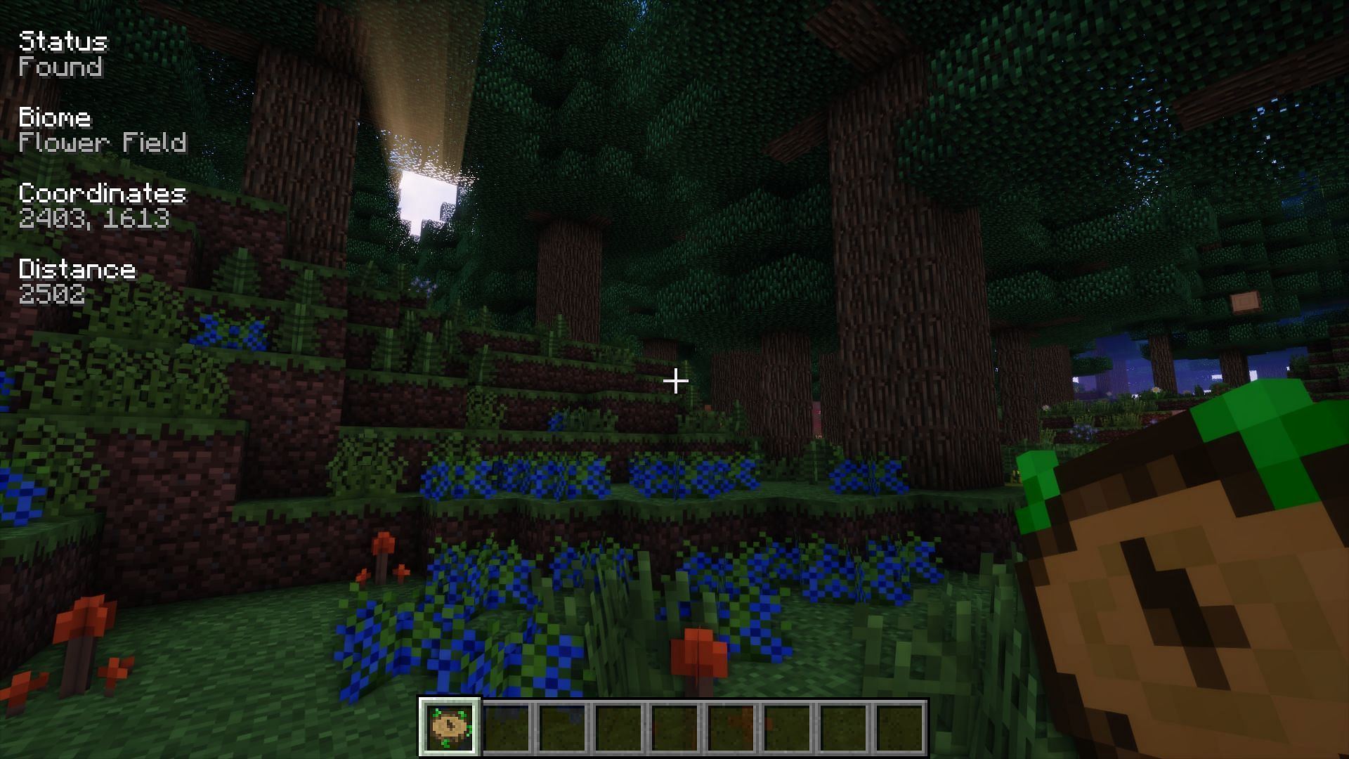 Игрок проверяет свой текущий биом с помощью Nature’s Compass (изображение Chaosyr/CurseForge).