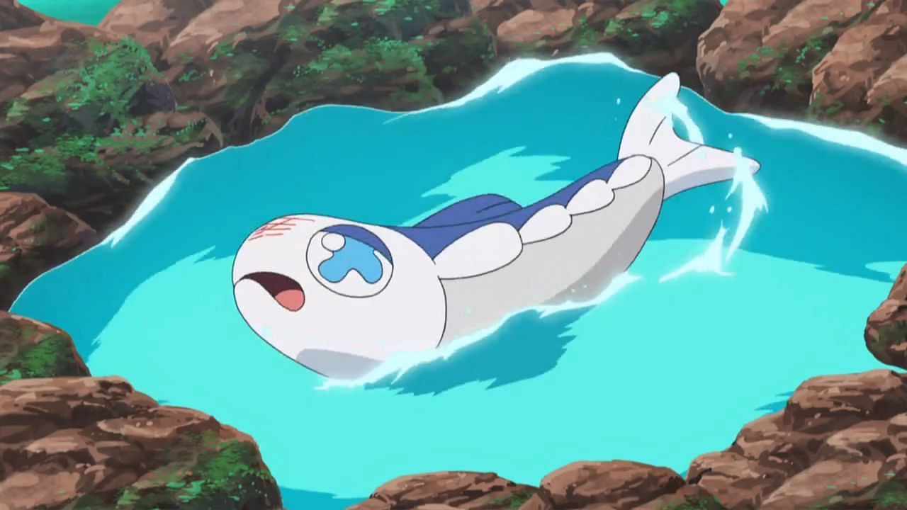 Wishiwashi tel qu'il apparaît dans l'anime (Image via The Pokemon Company)