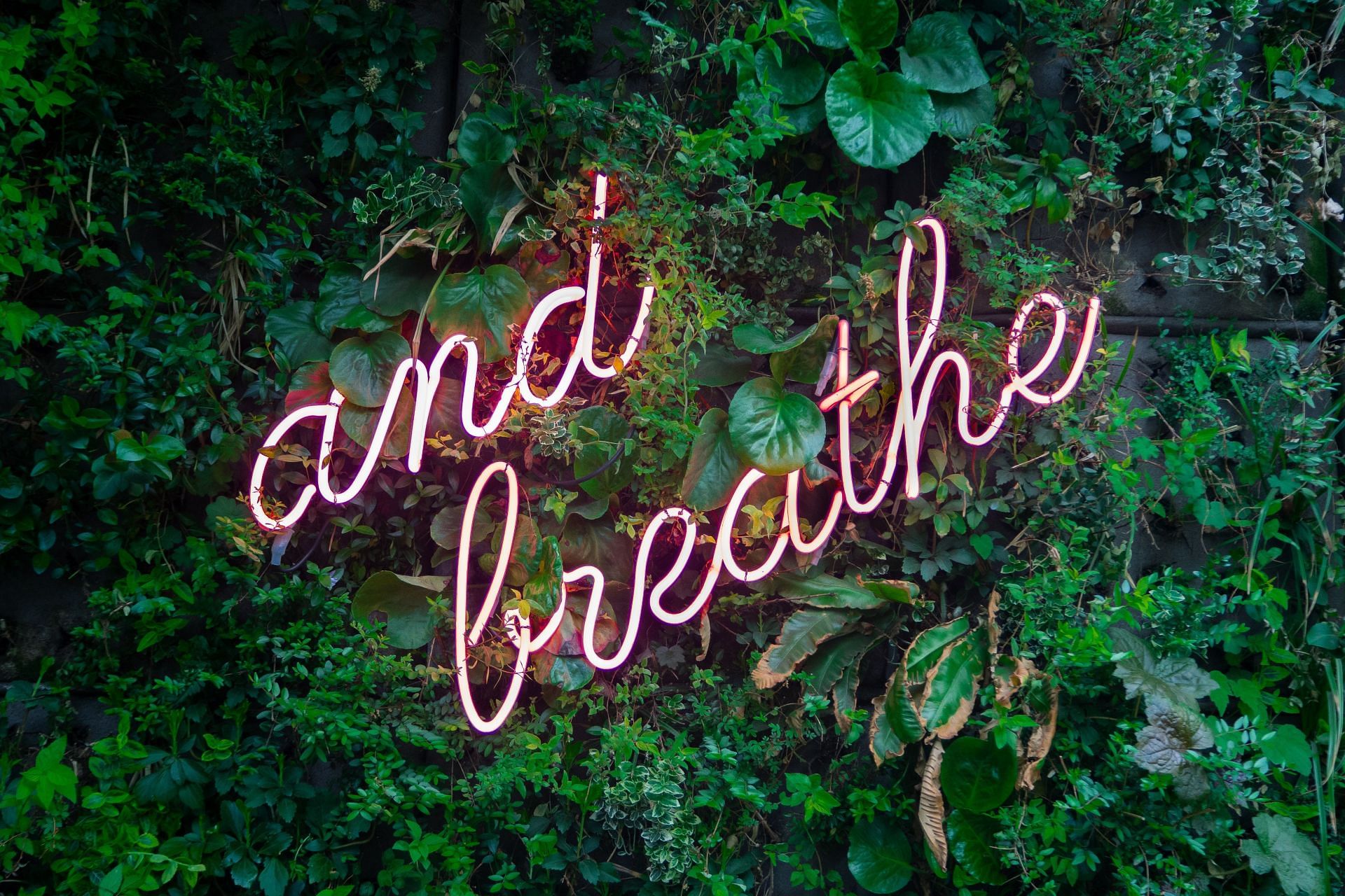 Did you consciously breathe today? (Photo via Unsplash/ Max Oetelaar)