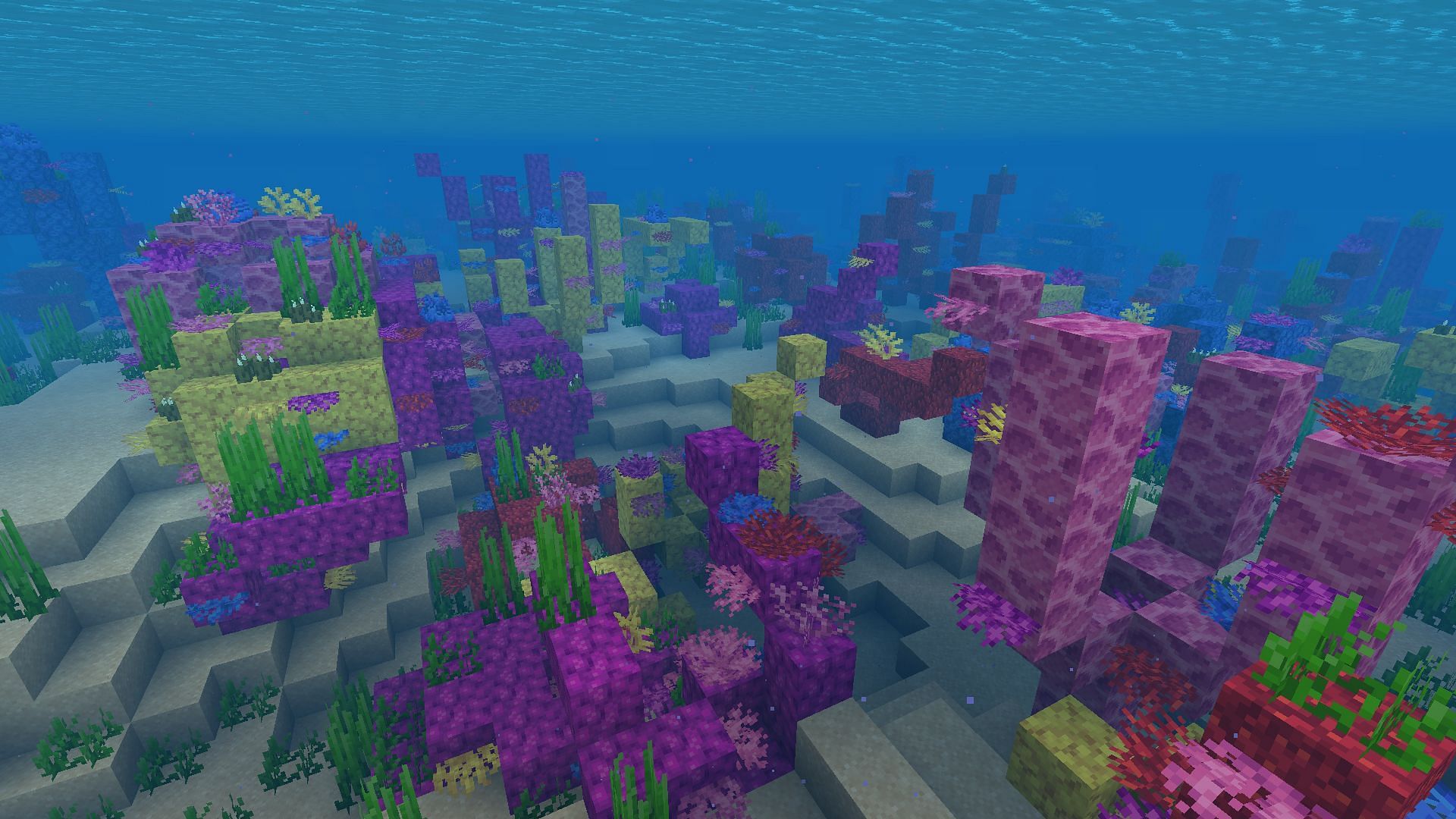 Lots of new animal mobs can be added to ocean biomes in Minecraft (Image via Mojang)