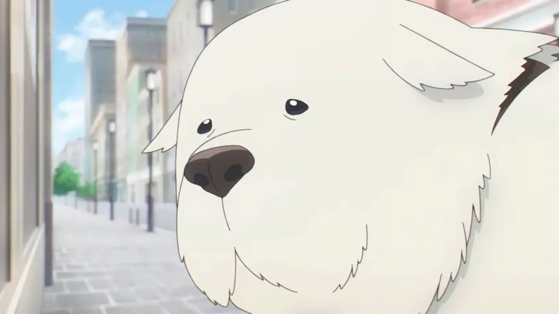 This dog will be of vital importance in Spy X Family episode 14 (Image via Wit Studio)