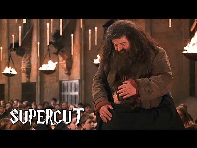 How Did They Make Hagrid So Big? Robbie Coltrane Real Height Explored ...