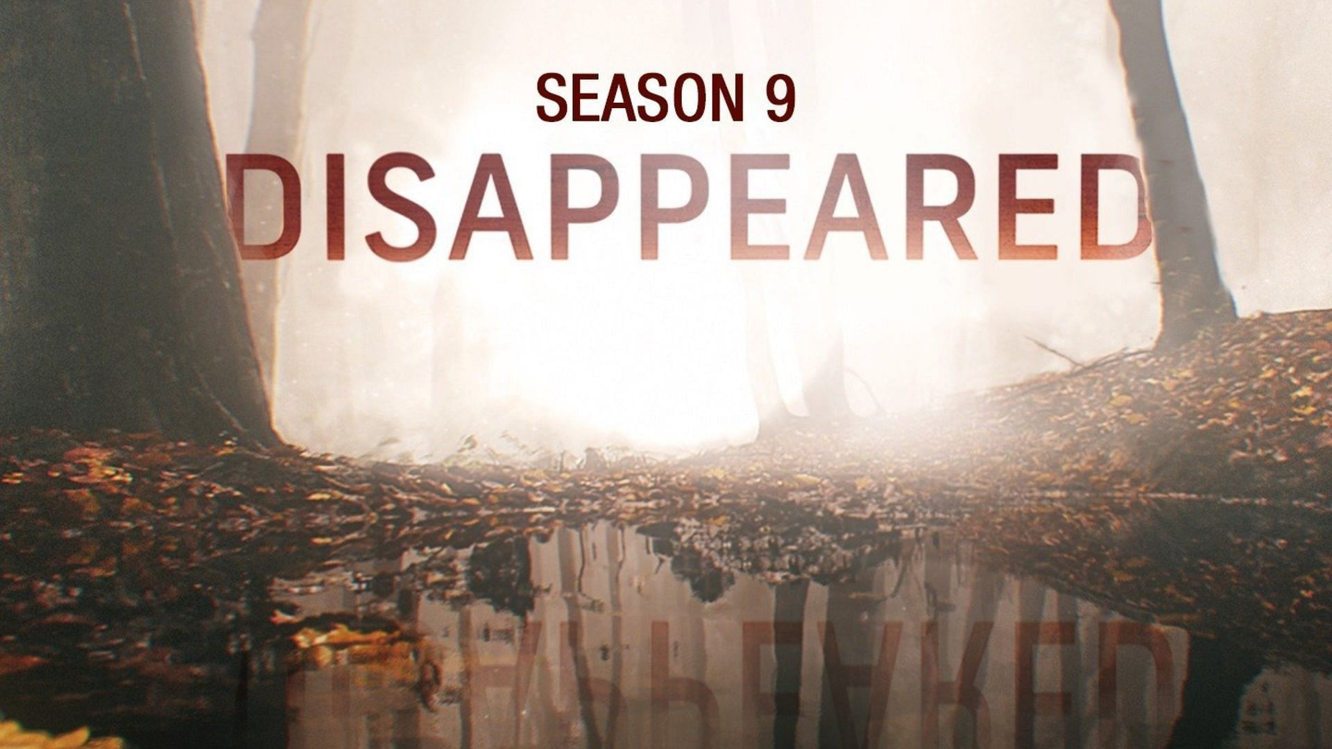 A promotional poster for ID