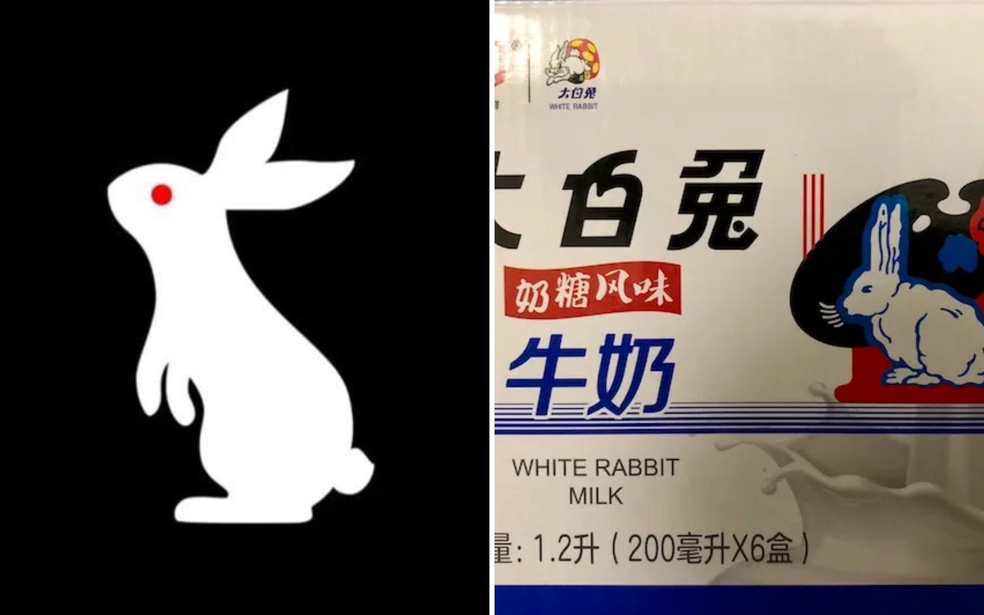 Latest White Rabbit QR code hints at betrayal from 5-Time Champion in 2021