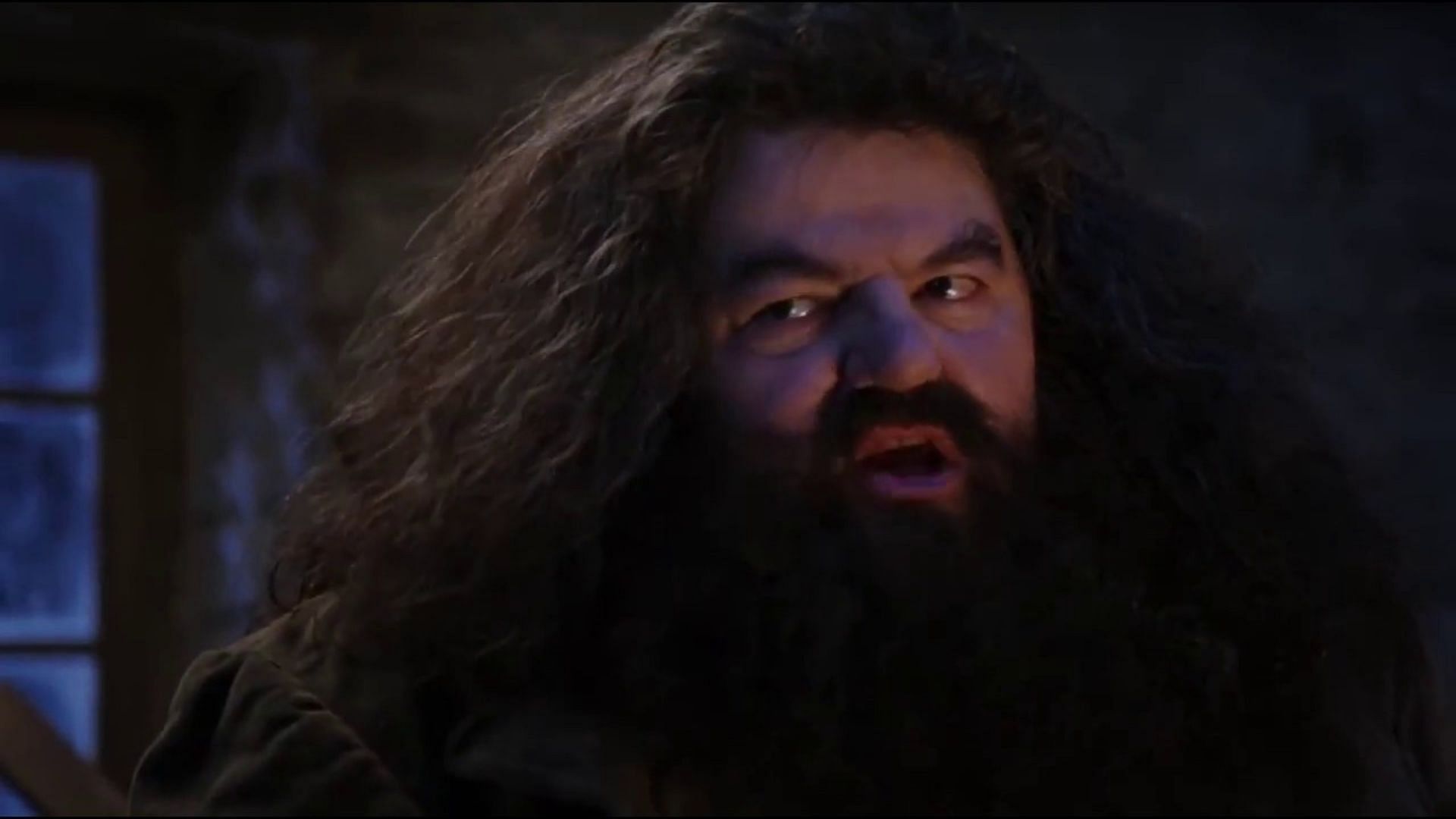 5 Memorable Rubeus Hagrid Scenes From Harry Potter