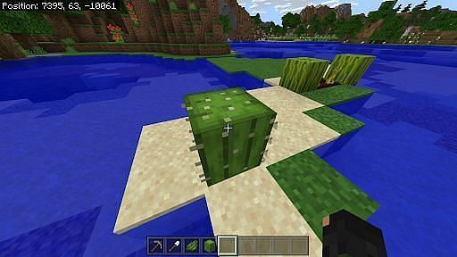 How to Get Green Dye in Minecraft- Final Step