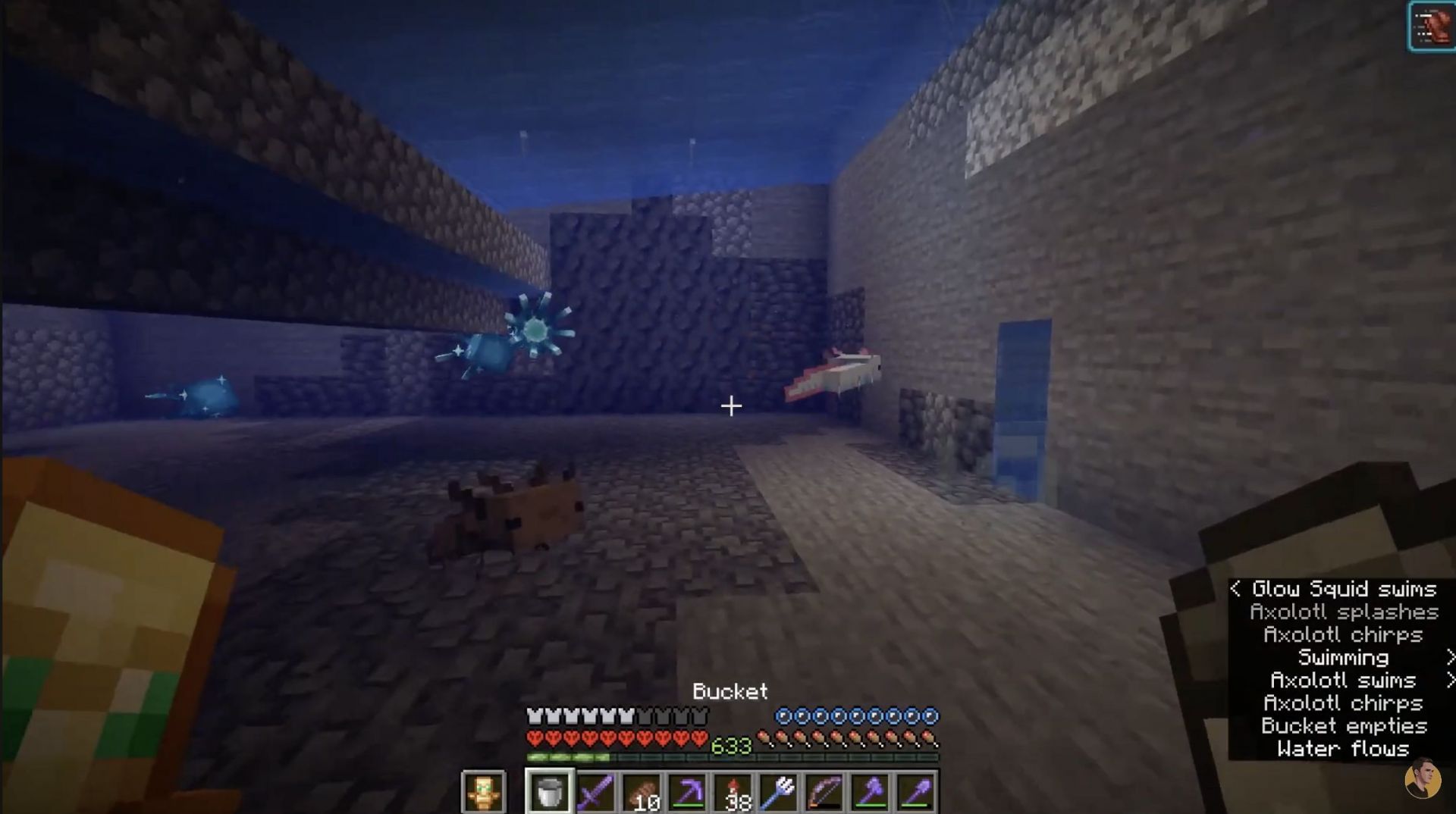 Add axolotls (Image via Regund on YouTube)