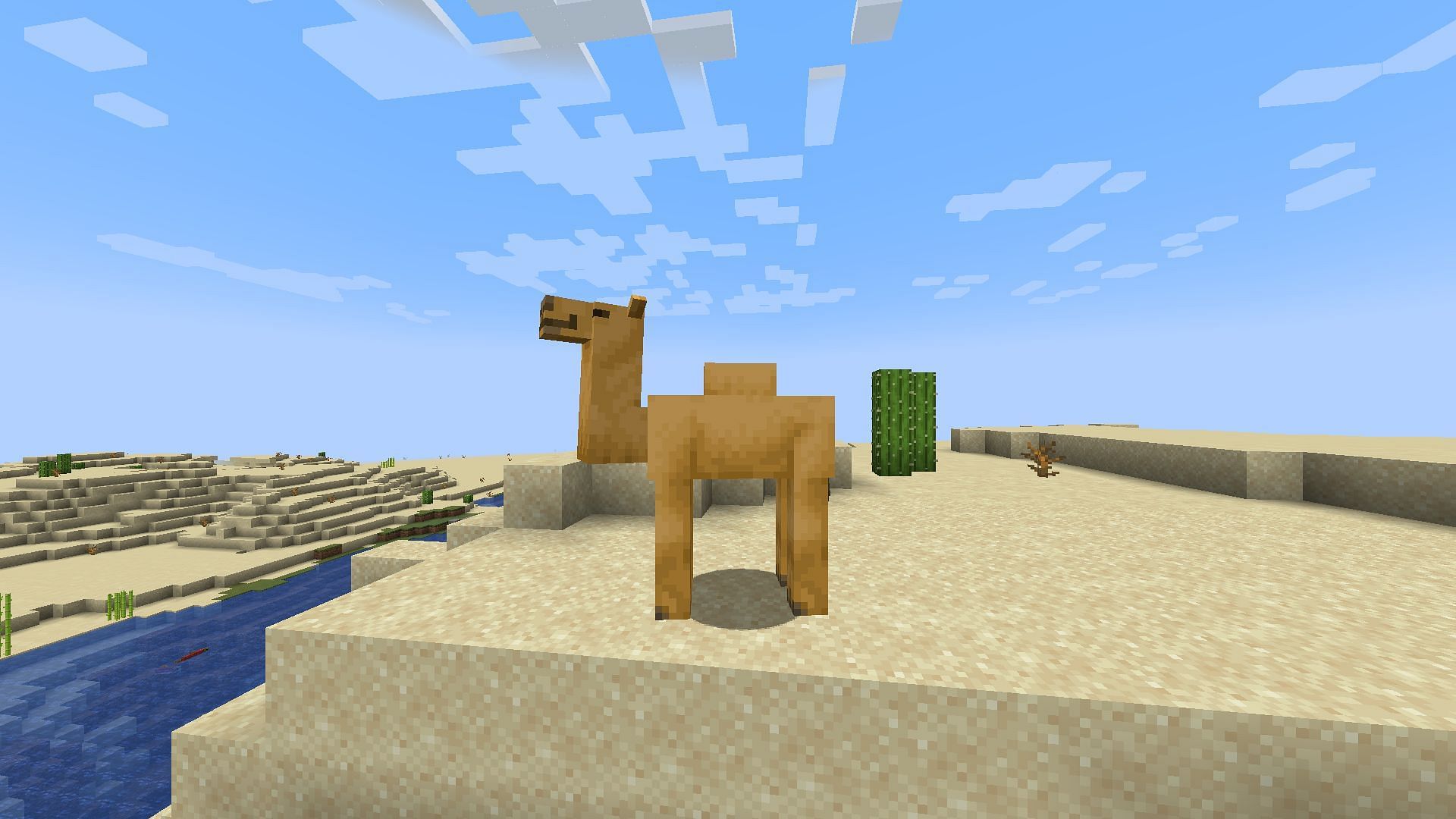 Camel in Minecraft 1.20 update: Everything known about new mob so far