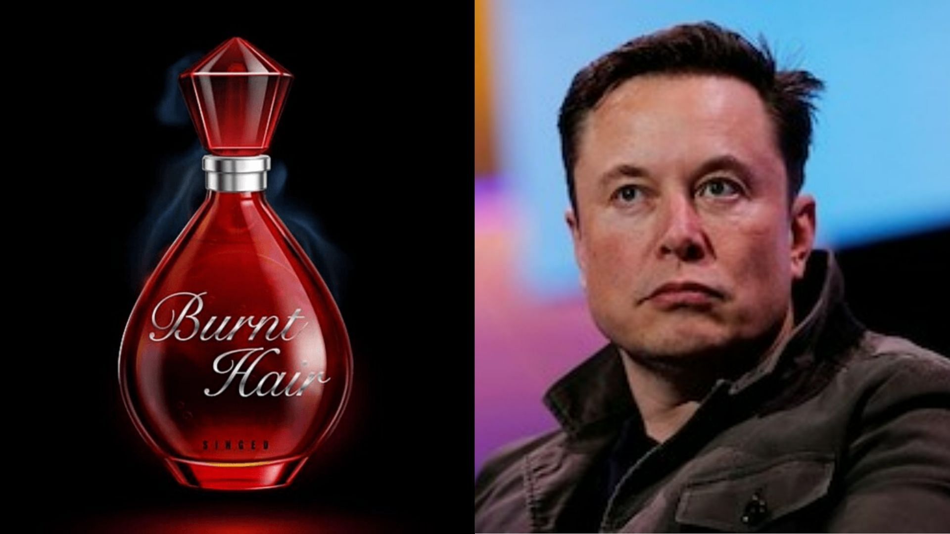 "Worst Named Fragrance": Netizens Left In Splits After Elon Musk ...