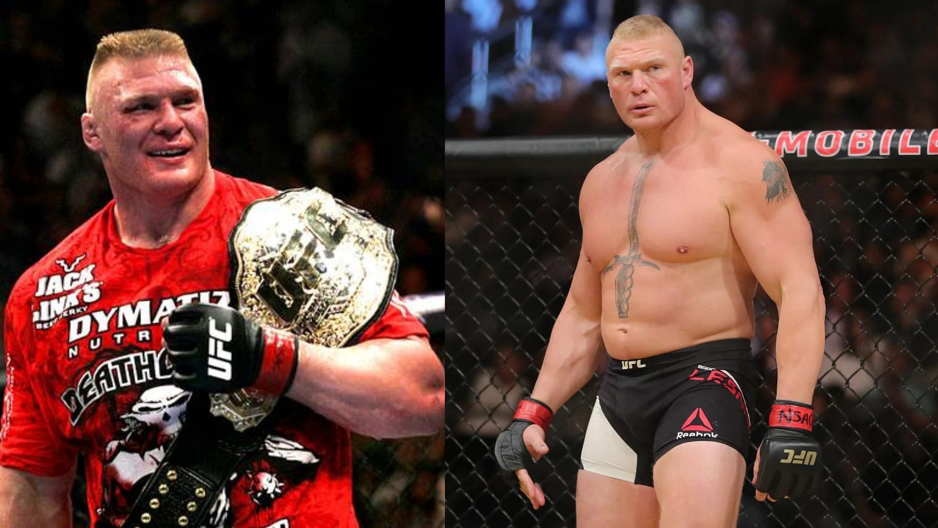 Why did Brock Lesnar retire from UFC? Why did Brock Lesnar retire from UFC?
