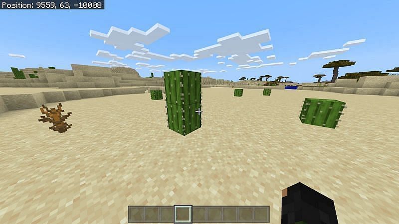 How to Get Green Dye in Minecraft- Locating cactus