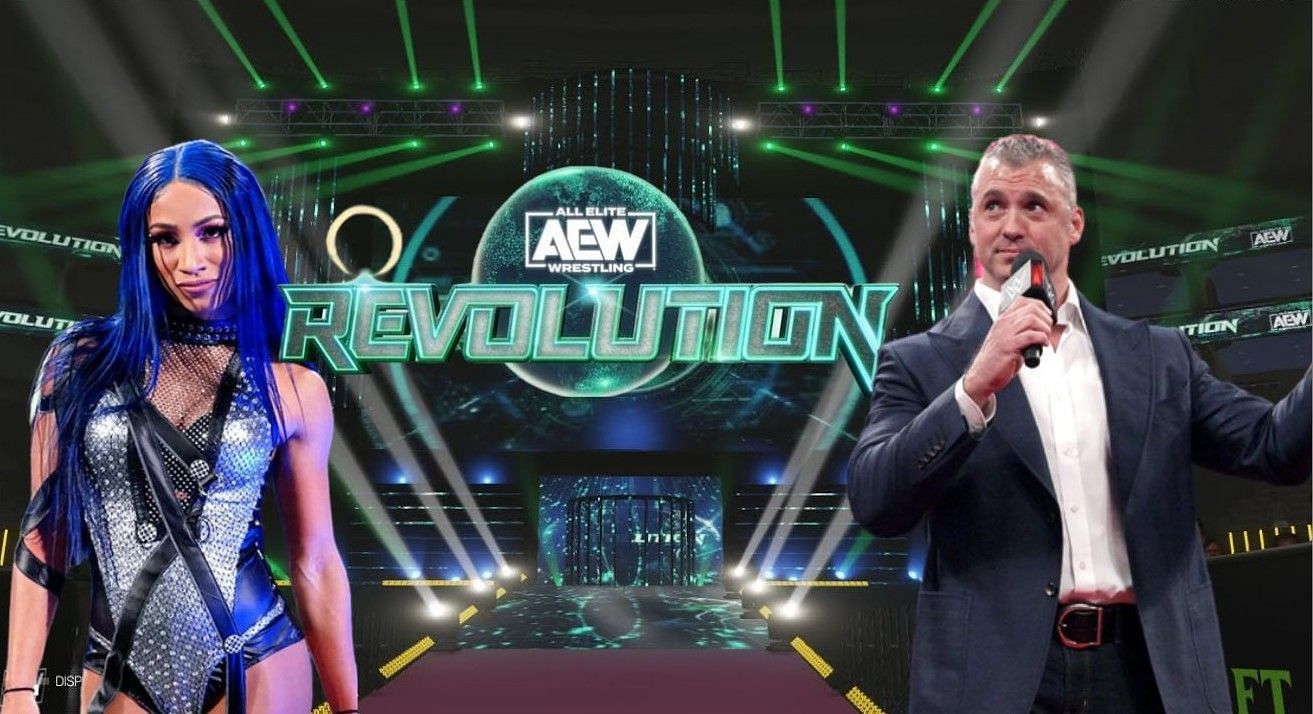 Will this be the scene at AEW Revolution next year?