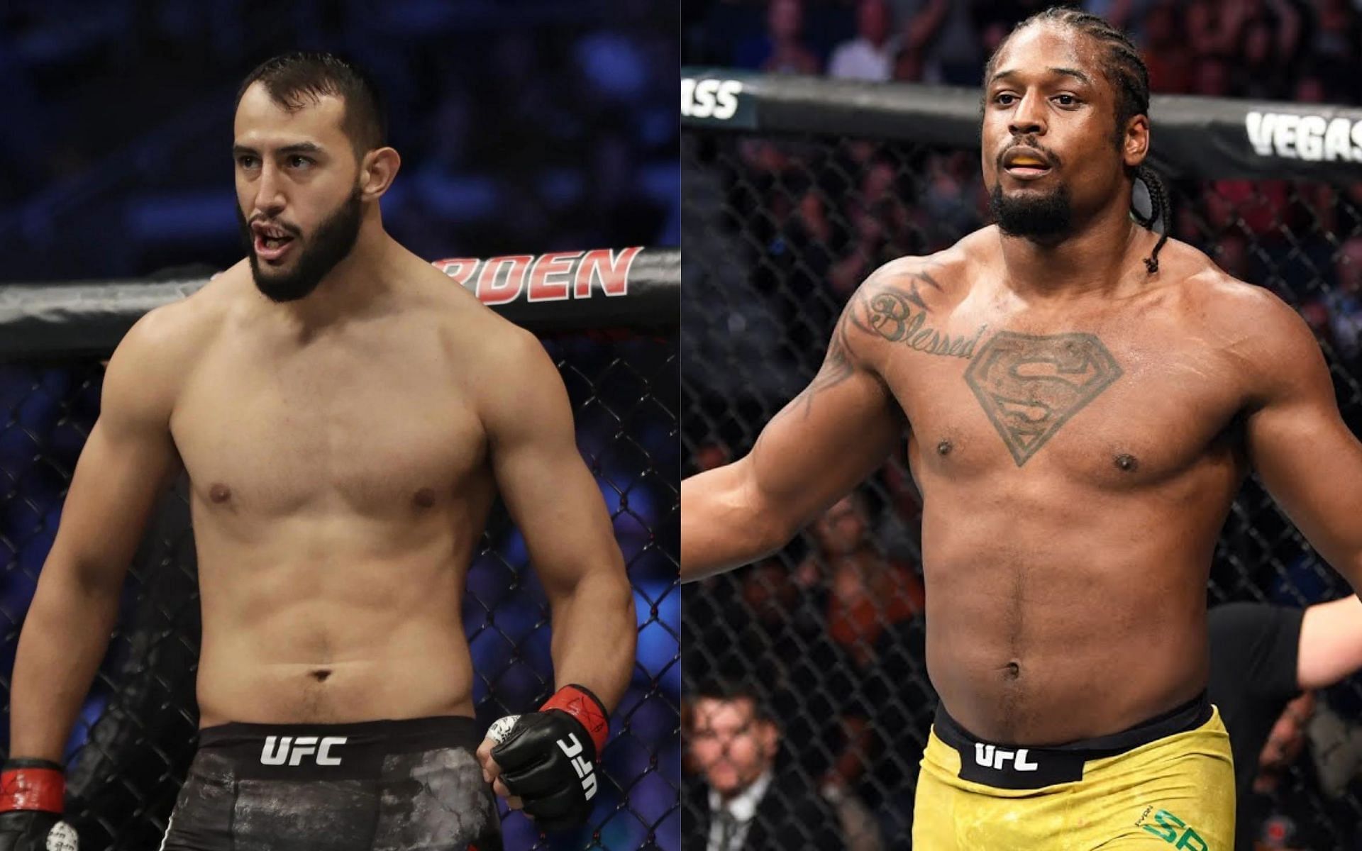 Dominick Reyes vs. Ryan Spann: Height, weight, reach and UFC records 