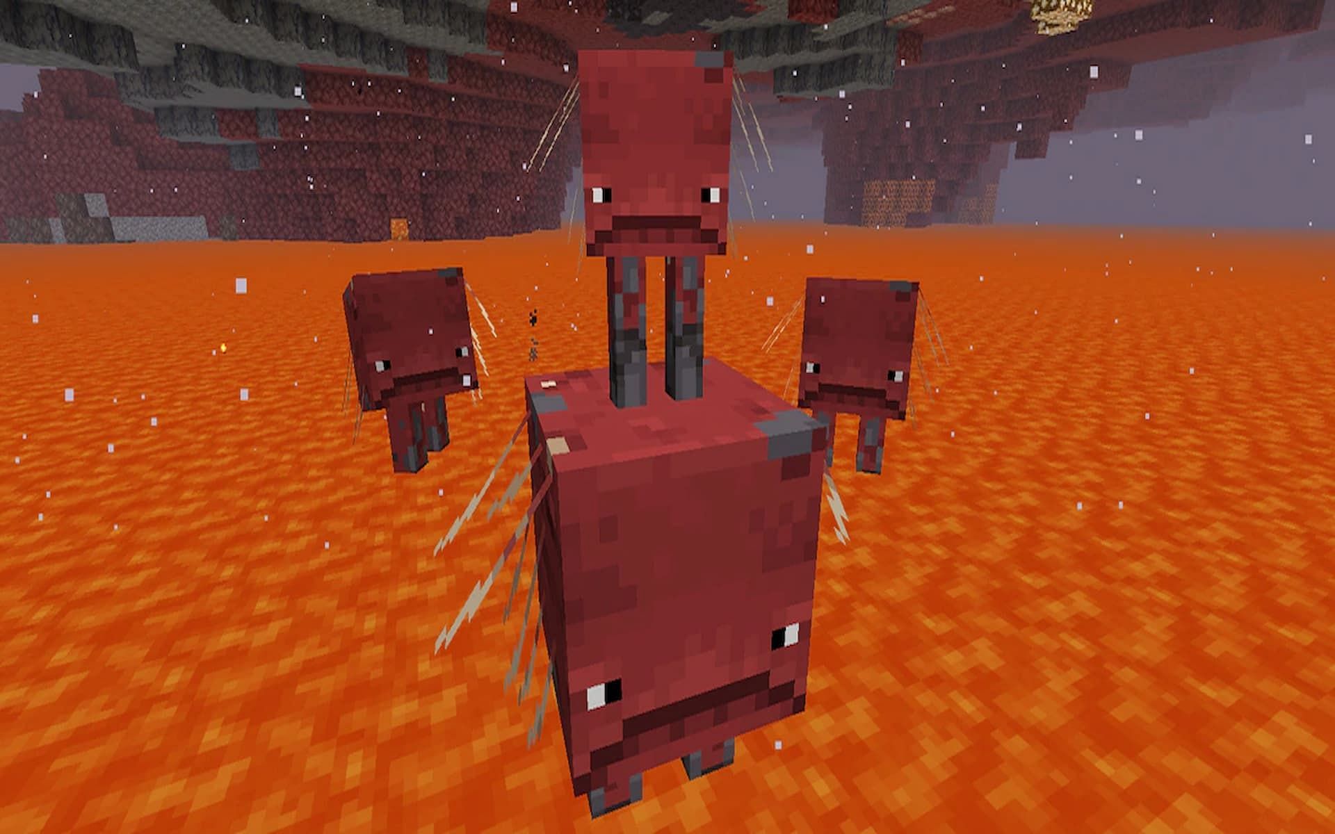 How to find and use striders in minecraft mustafa