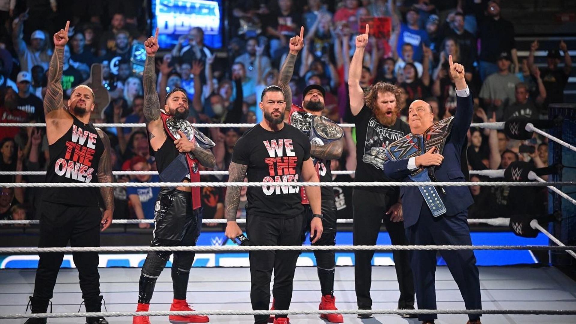 The Bloodline will be in action at Survivor Series