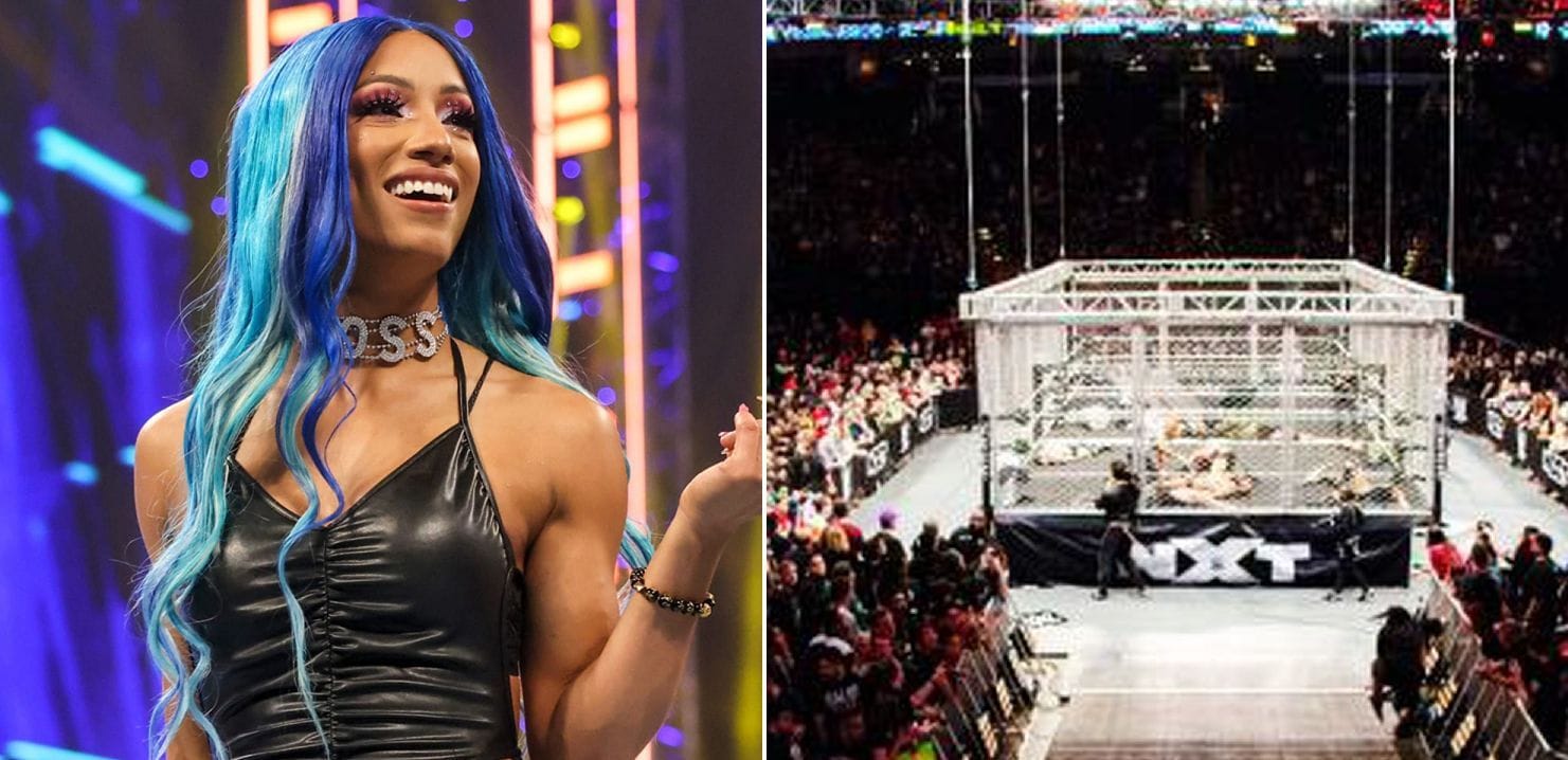 14 Time WWE Champion Returns Sasha Banks Invades And 3 Other Surprises That Could Happen At 