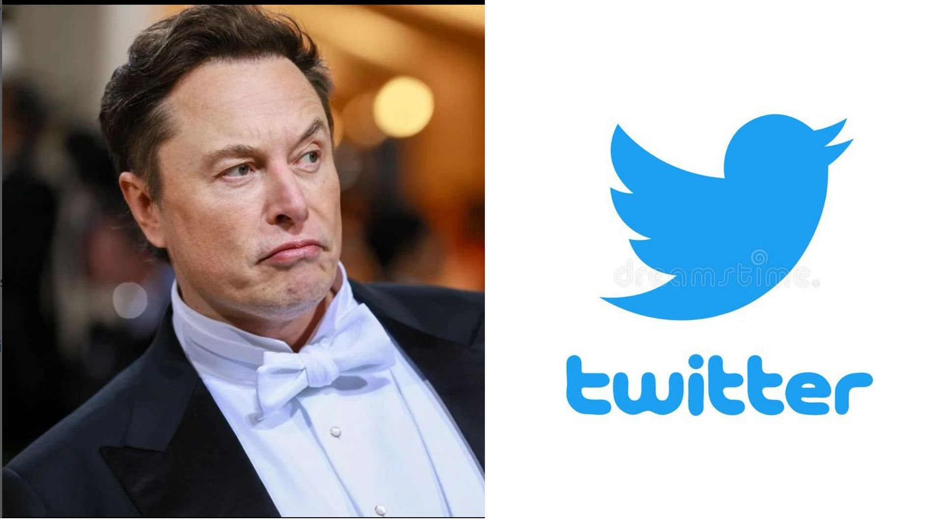 Why Is Elon Musk Laying Off Twitter Employees Furious Workers Sue Over Lack Of Notice Amid Mass