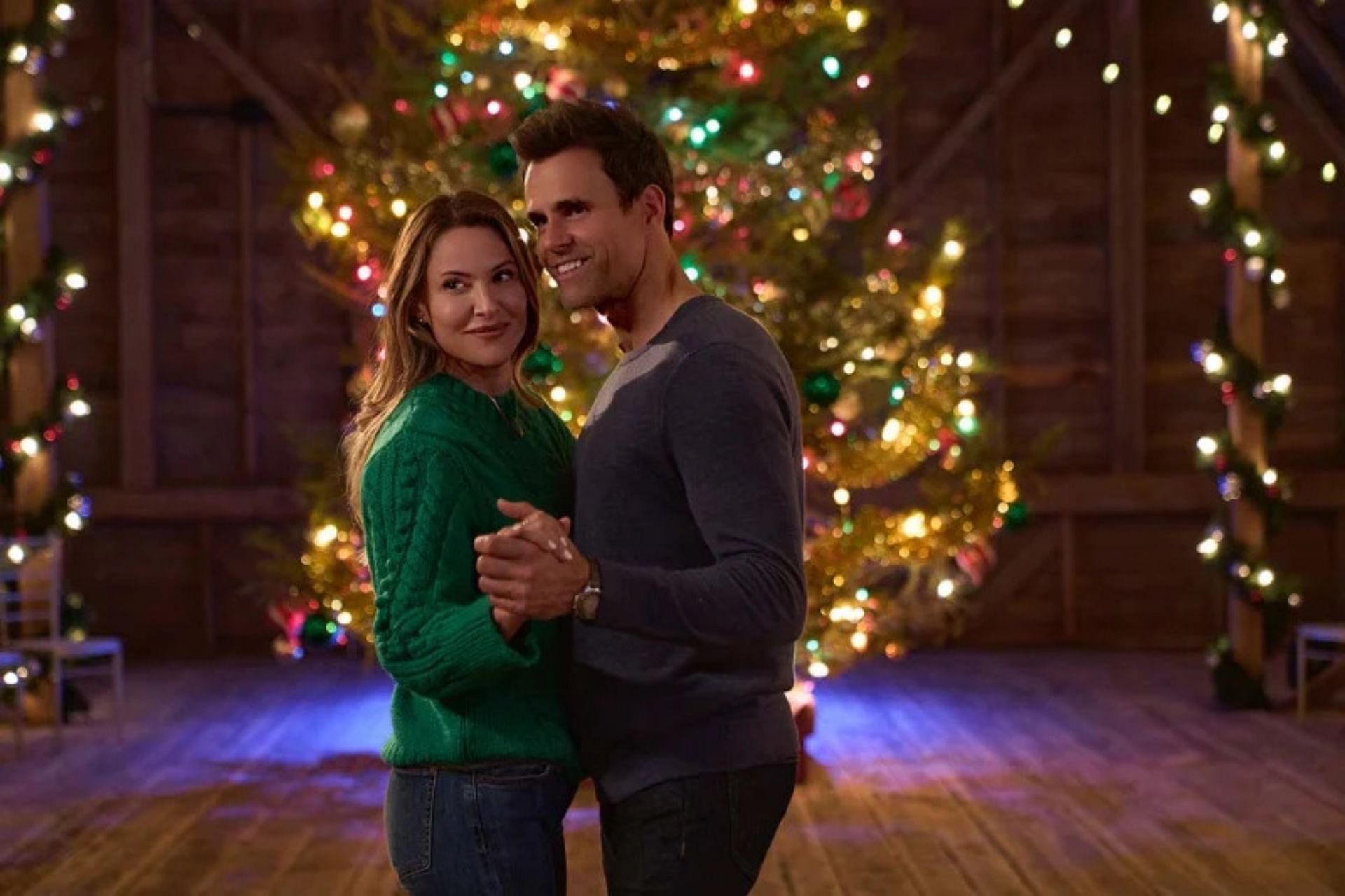 A Merry Christmas Wish cast list Jill Wagner, Cameron Mathison and