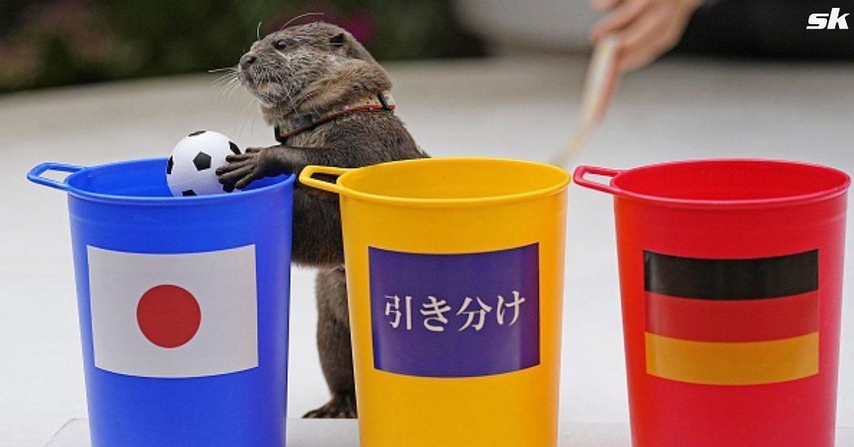 2022 FIFA World Cup: Otter ‘Taiyo’ predicted Japan’s shock comeback victory against Germany 