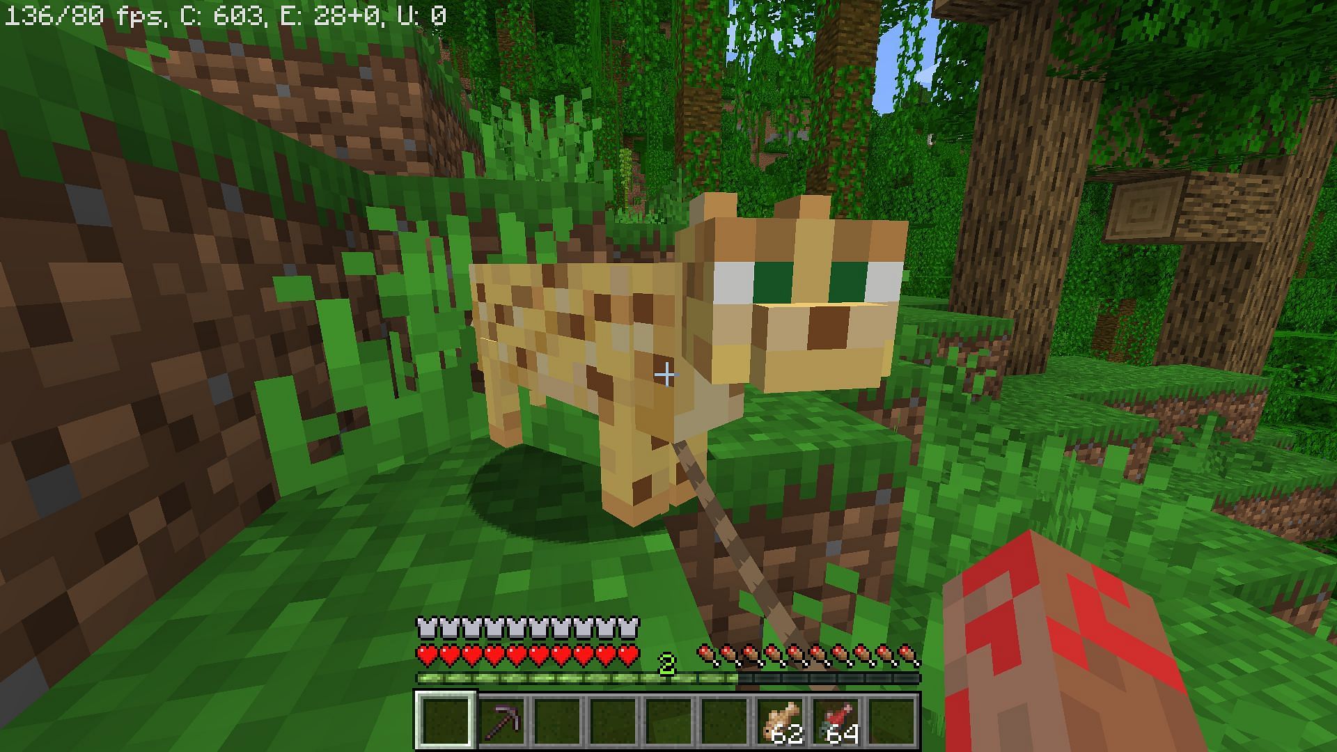 Ocelots are hard to find and harder to tame in Minecraft (Image via Mojang)