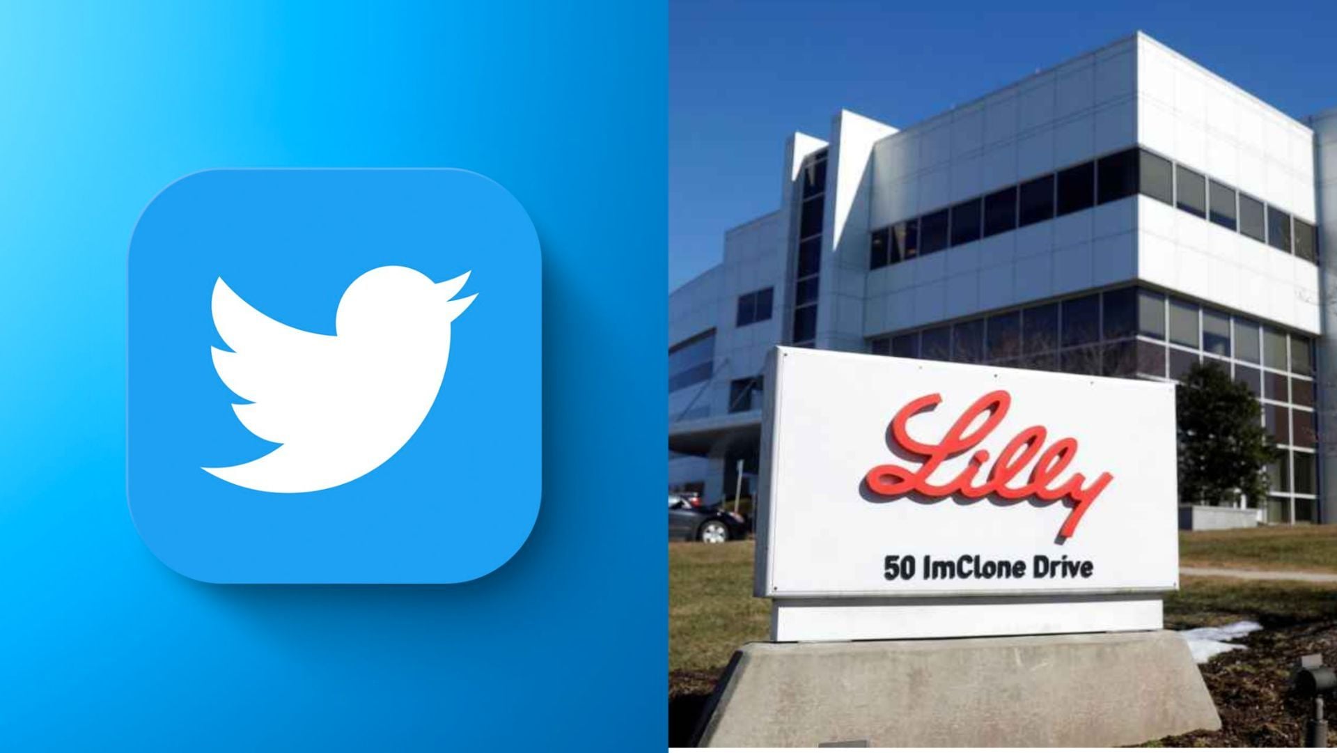 How Twitter's botched implementation of paid verification became boon in disguise for internet trolls - Vimarsana News