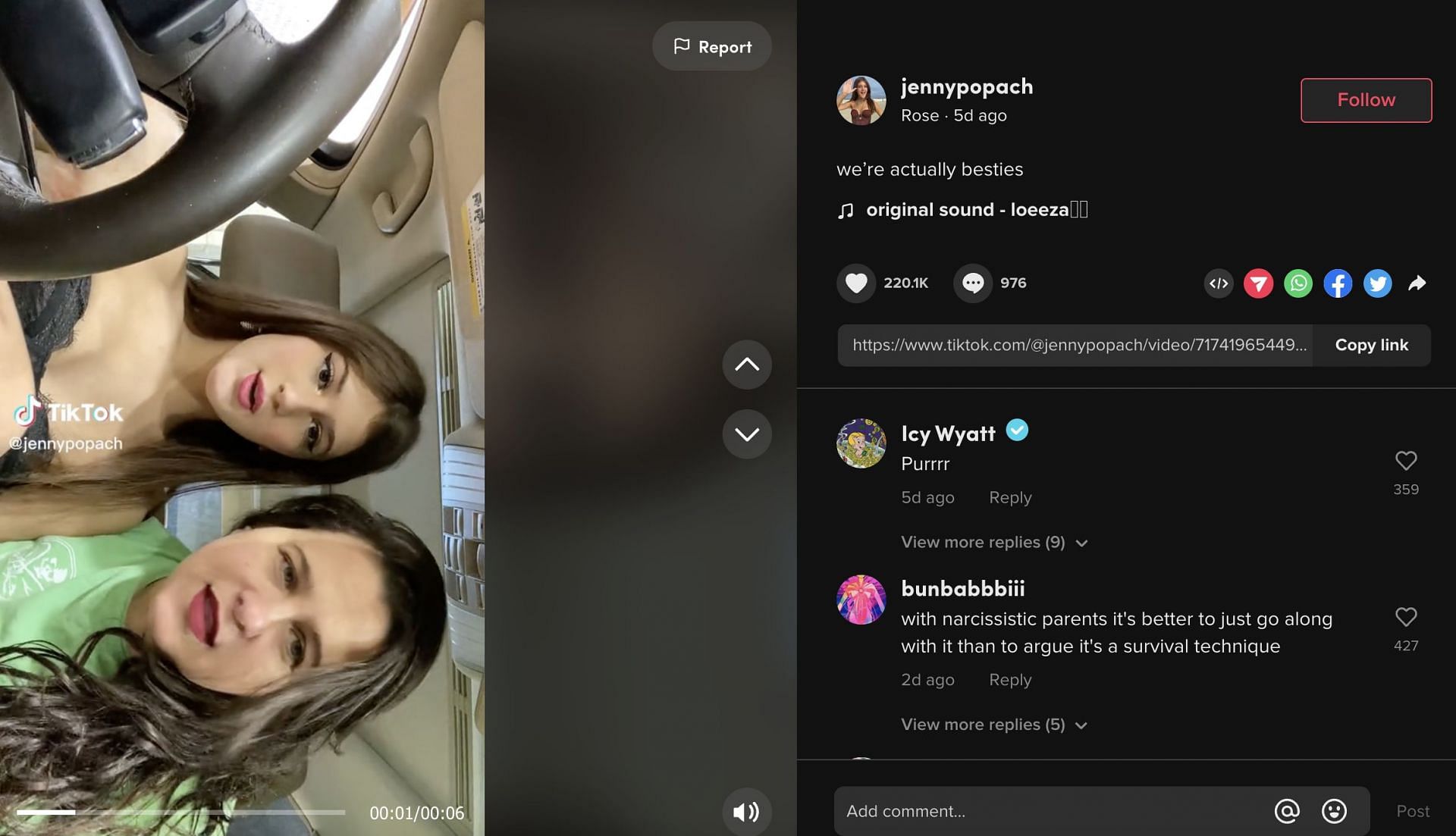 Jenny and her mom posted TikToks claiming to be &quot;besties.&quot; (Image via TikTok)