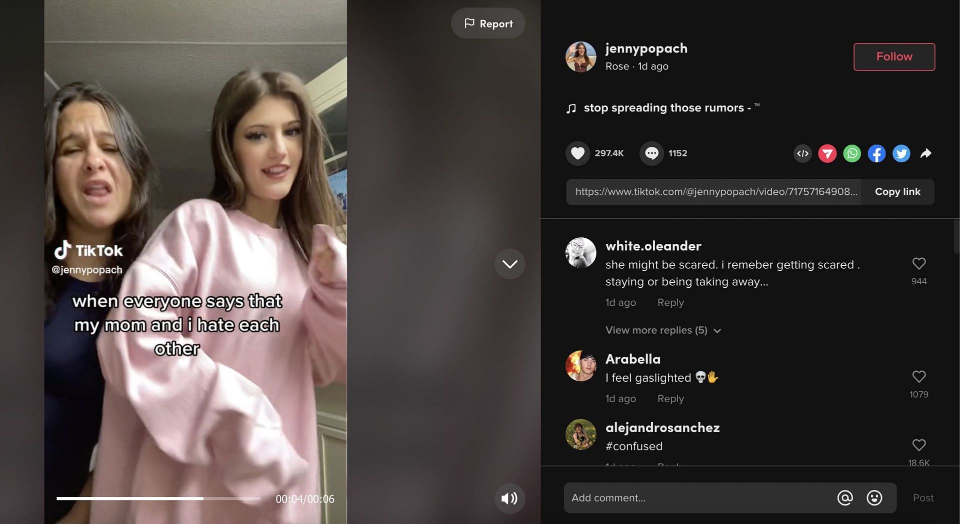 Jenny and her mother posted a video on TikTok and asked followers to &quot;stop spreading rumors.&quot; (Image via TikTok)
