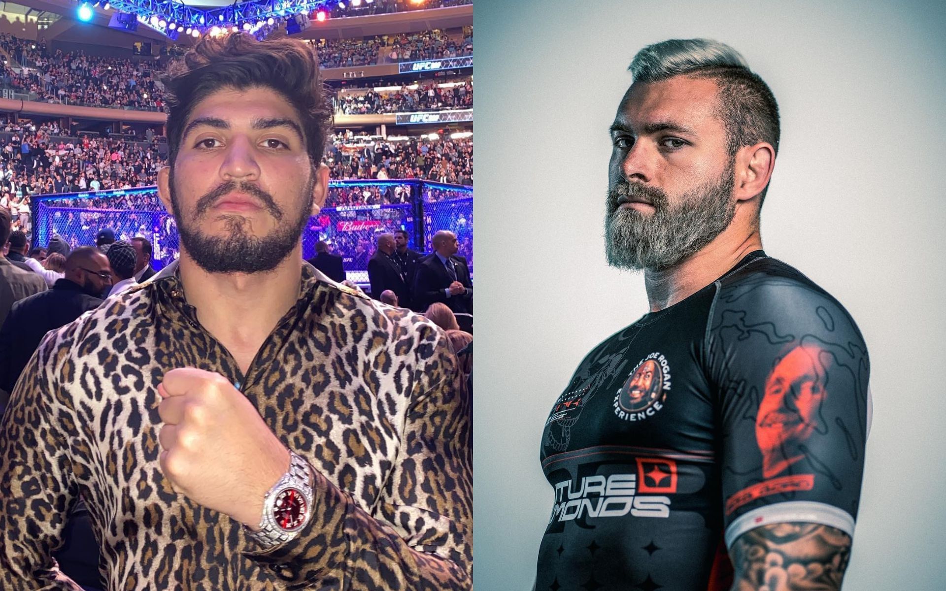 Dillon Danis Gordon Ryan hilariously speculates Dillon Danis' source