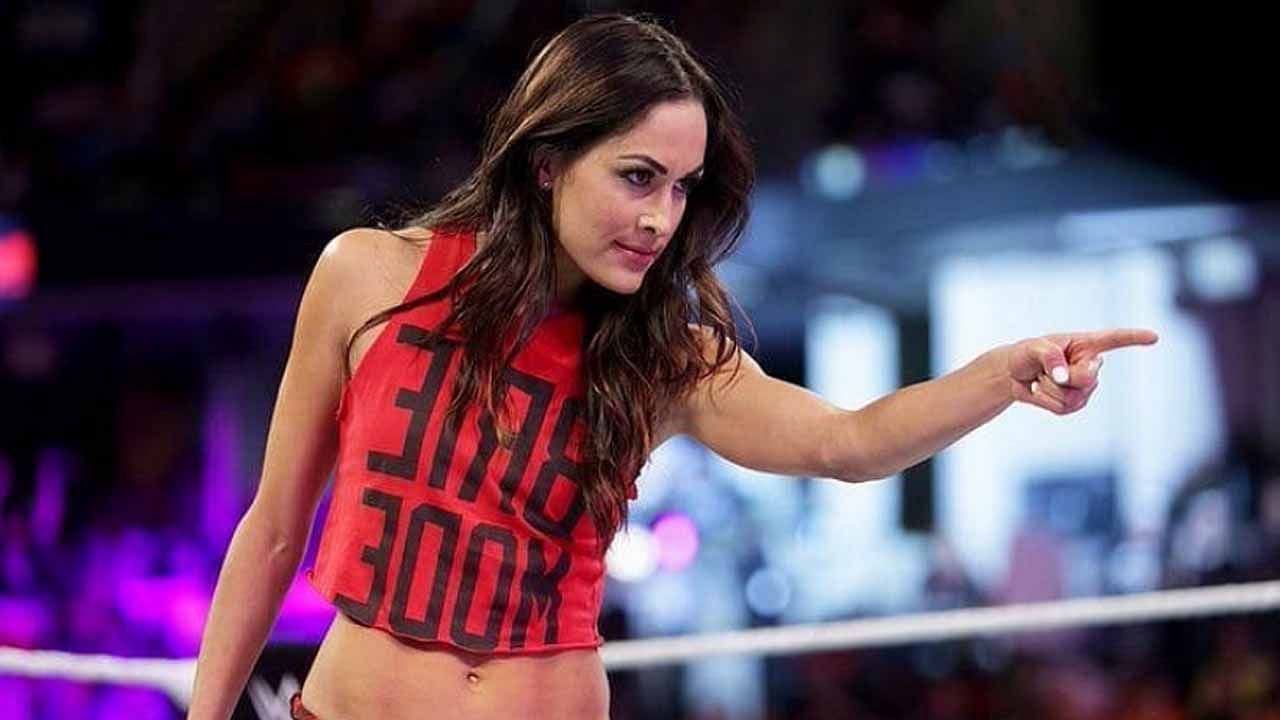 How Many Championships Has Brie Bella Won In Wwe