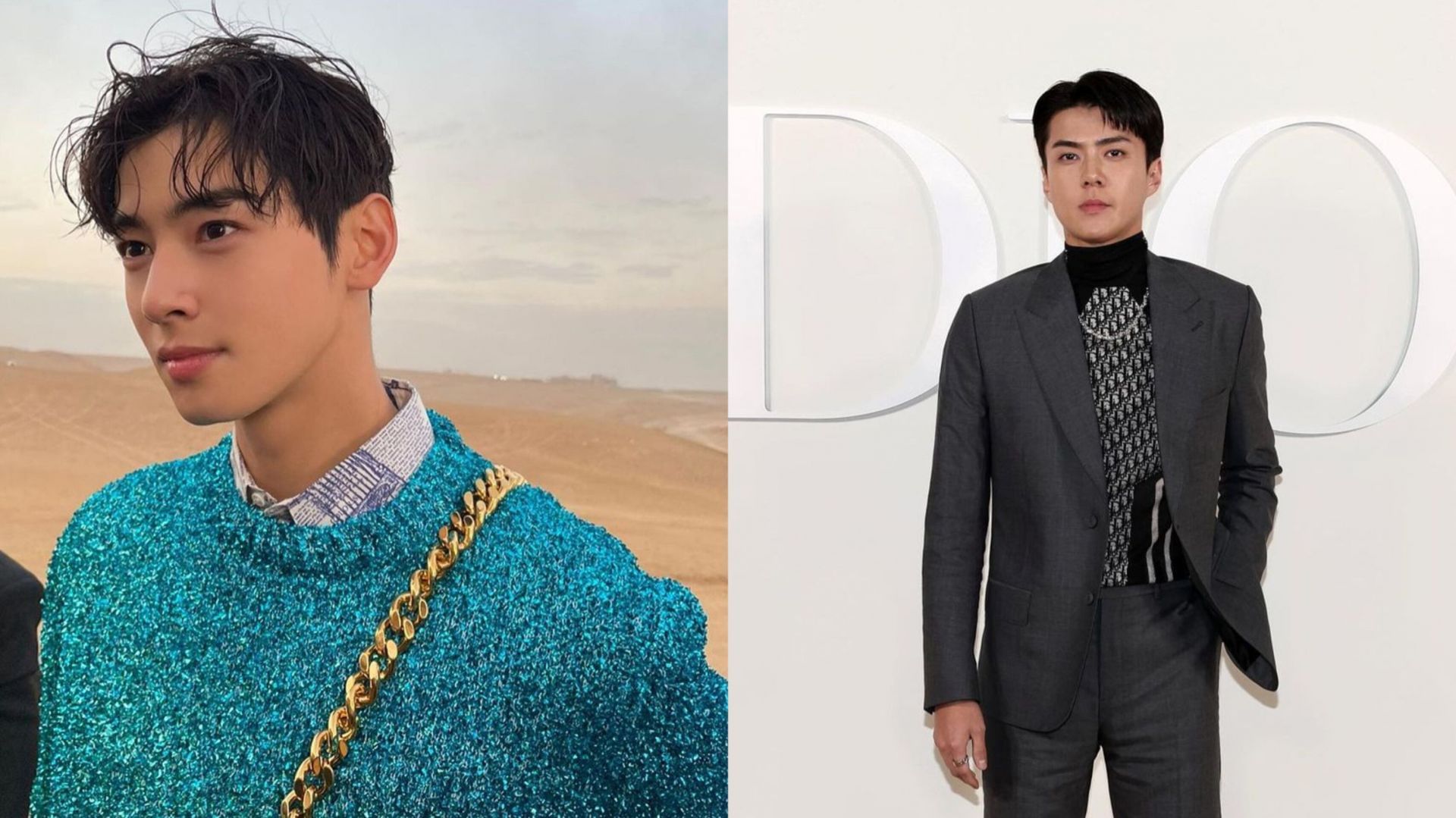 Cha Eunwoo Cha Eunwoo and Sehun graced the Dior’s Men Fall 2023 show with their presence
