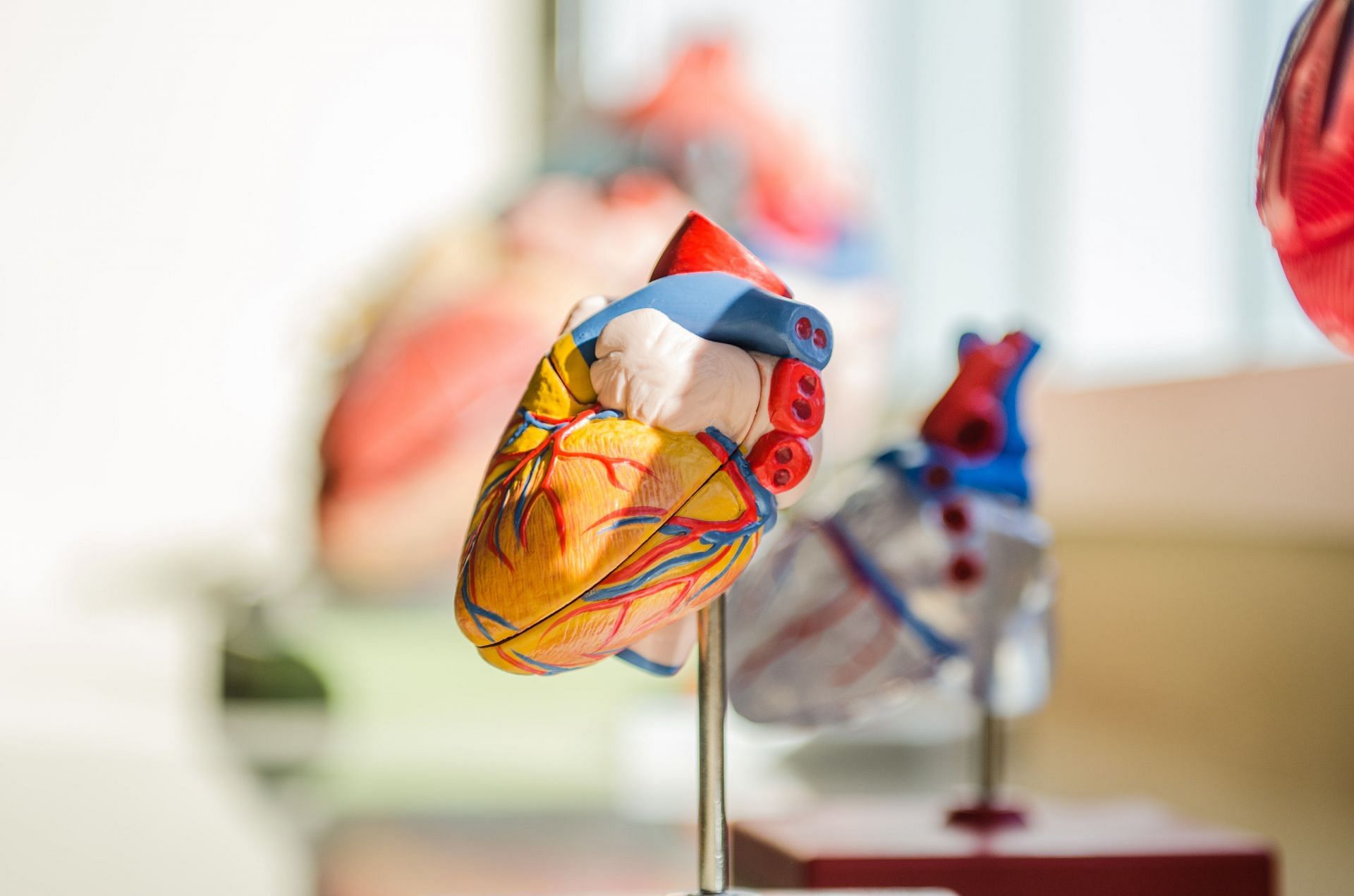 Signs of heart attack in men and women (Image via Unsplash/Jesse Orrico)