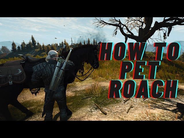 How To Pet Roach In The Witcher 3 Next Gen