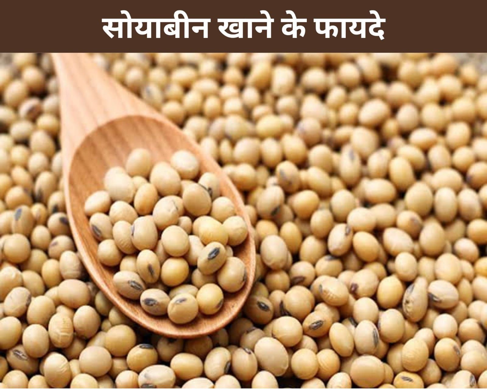 7 Benefits Of Eating Soybeans In Hindi सोयाबीन खाने के 7 फायदे