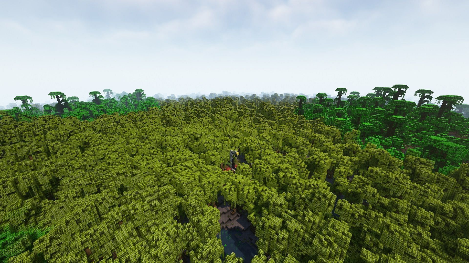 Mangrove swamp surrounded by a jungle biome (Image via Mojang)