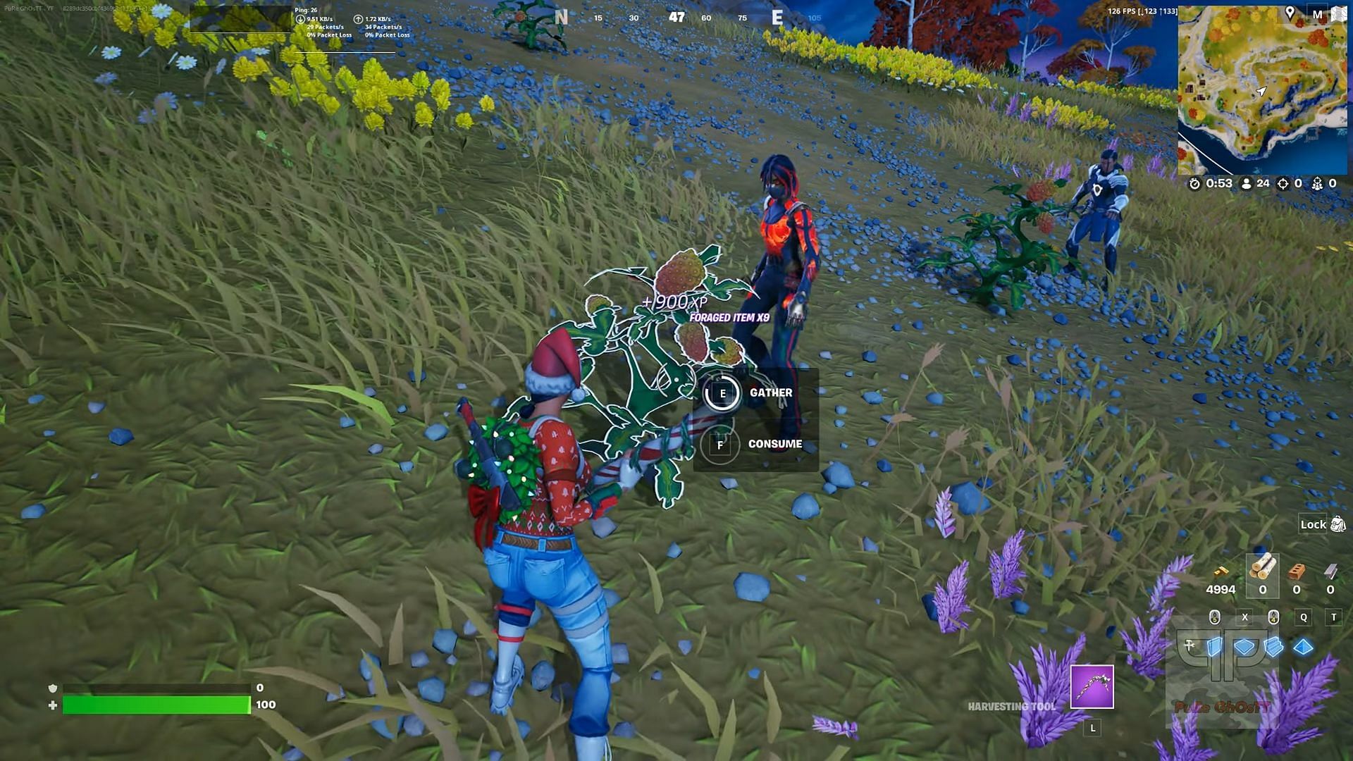 Le Glitch Permettait Aux Joueurs De Consommer Une Infinité De Slap Berries Et De Gagner De L'Xp (Image Via Epic Games)