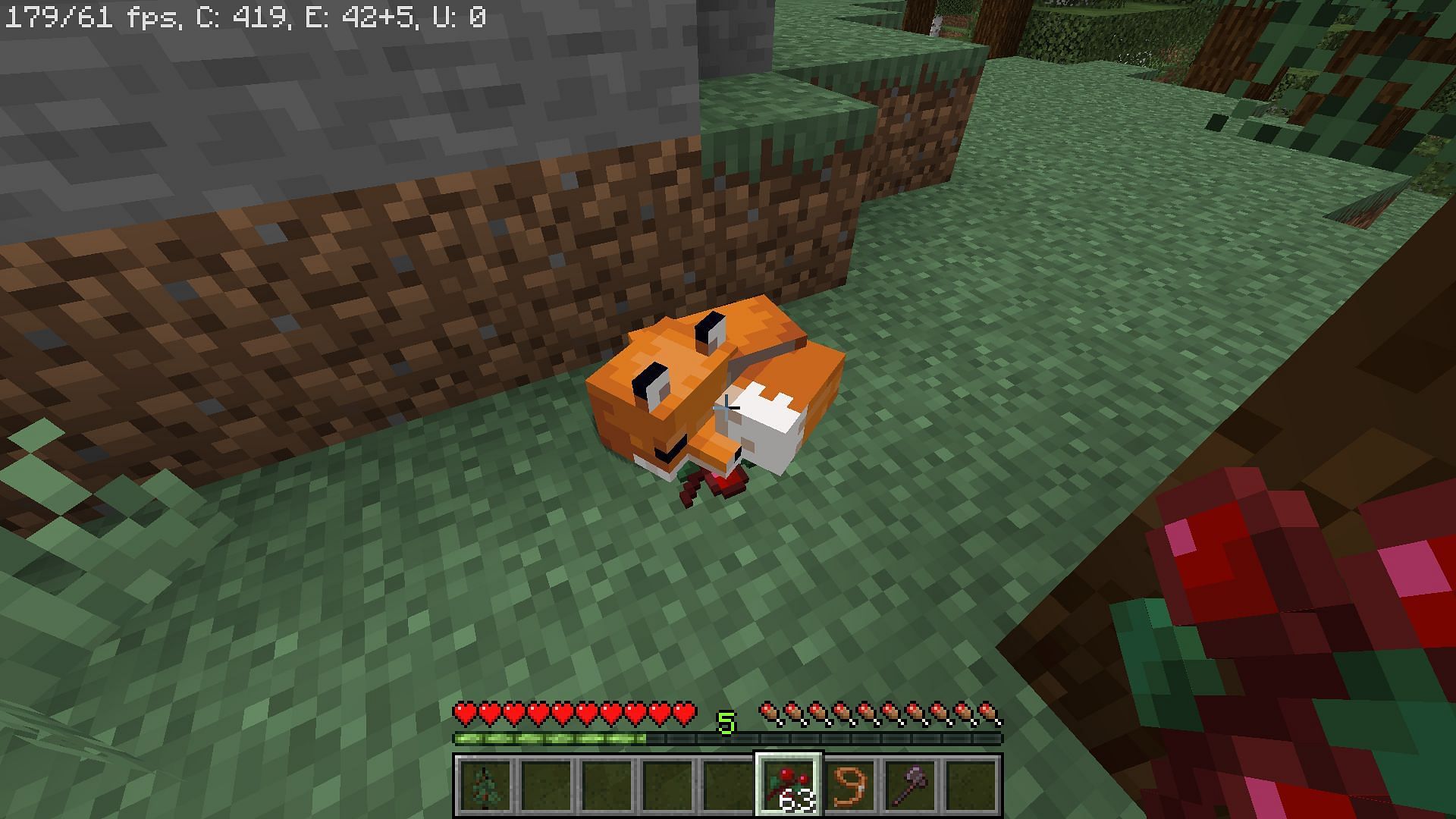 How to tame foxes in Minecraft 
