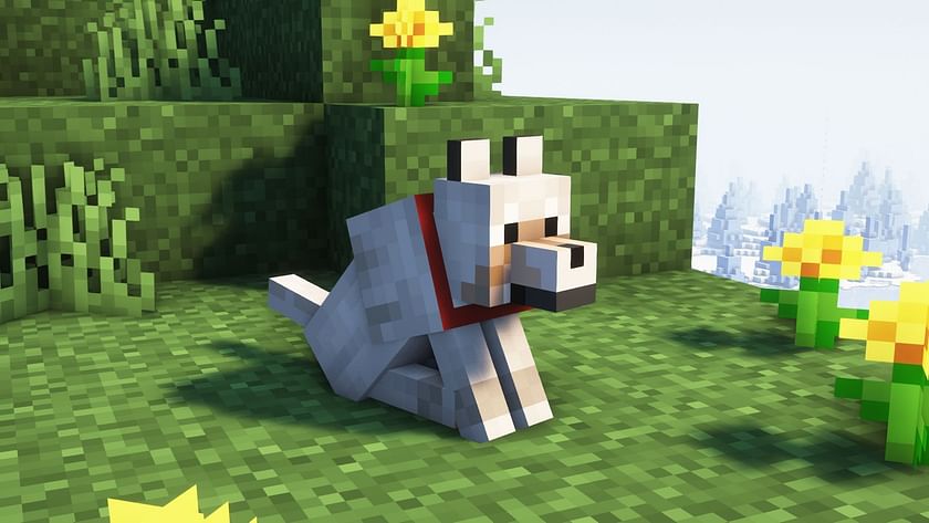 how-to-tame-a-wolf-in-minecraft-2023