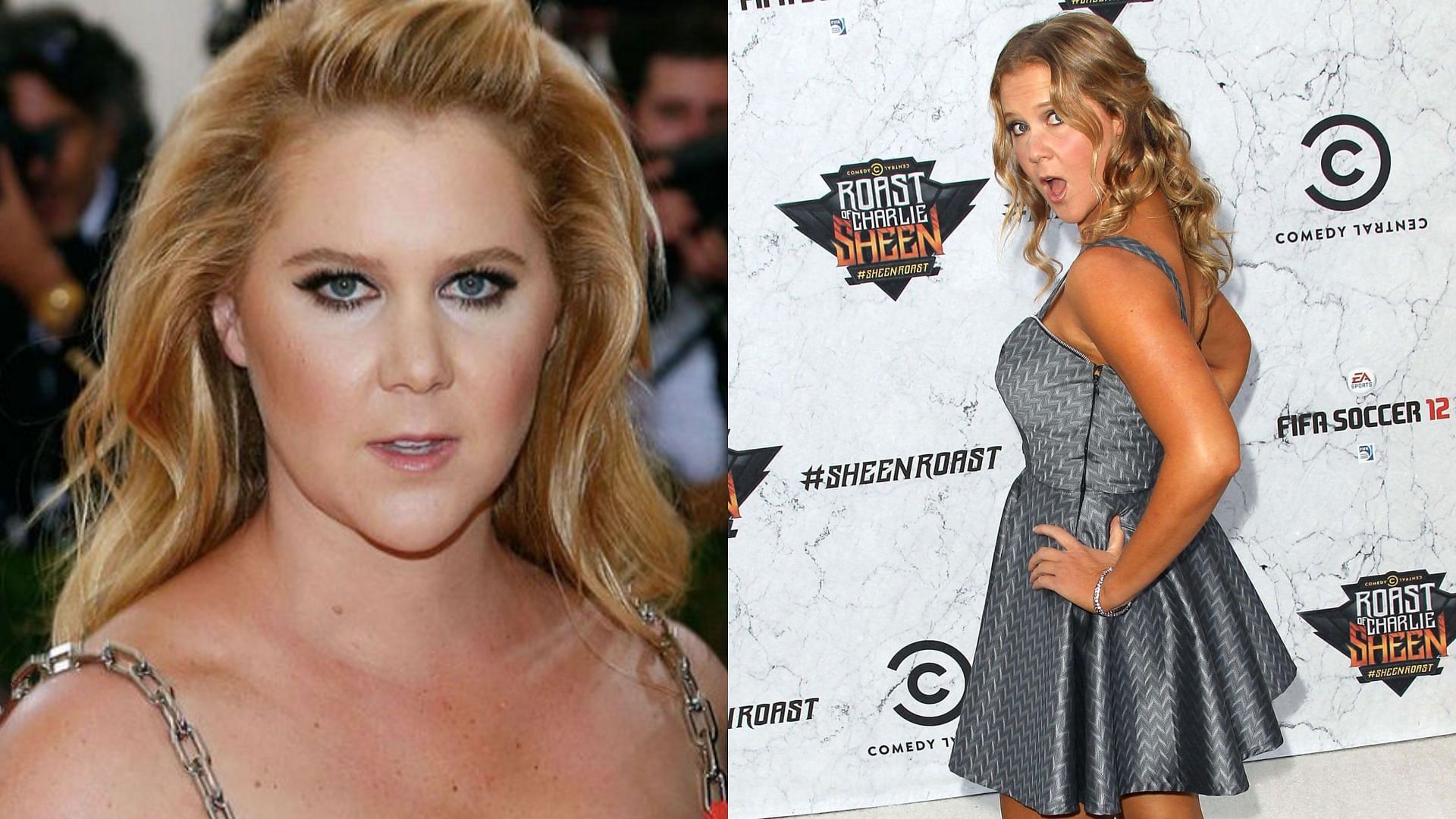 Amy Schumer previously dated WWE Superstar Dolph Ziggler