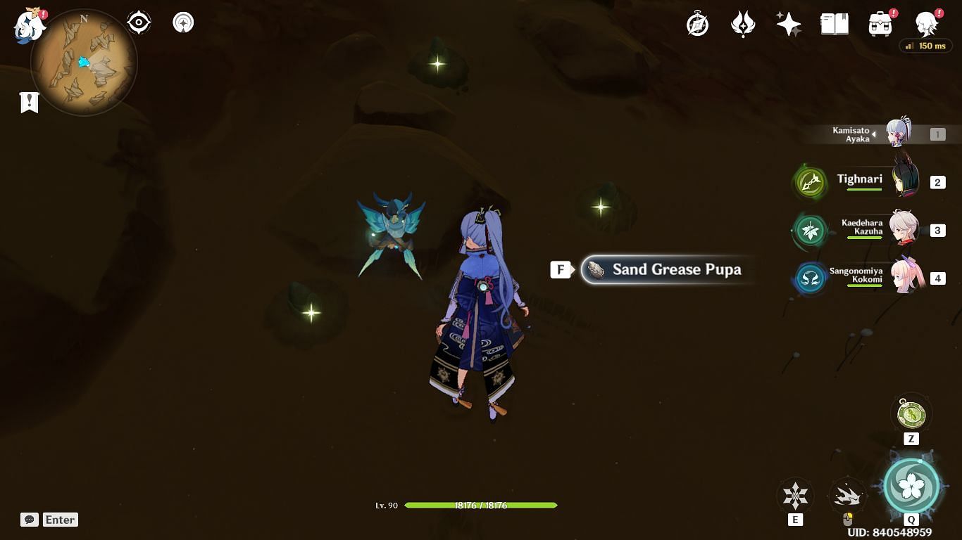 Sand Grease Pupa inside the cave near the waypoint (Image via HoYoverse)
