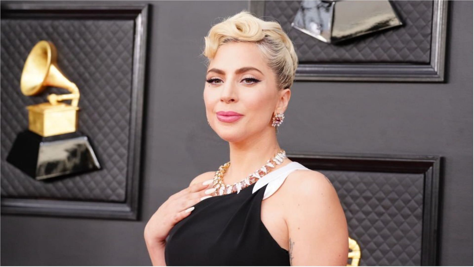 Lady Gaga&#039;s dogs were stolen at gunpoint in February 2021 (Image via Jeff Kravitz/Getty Images)