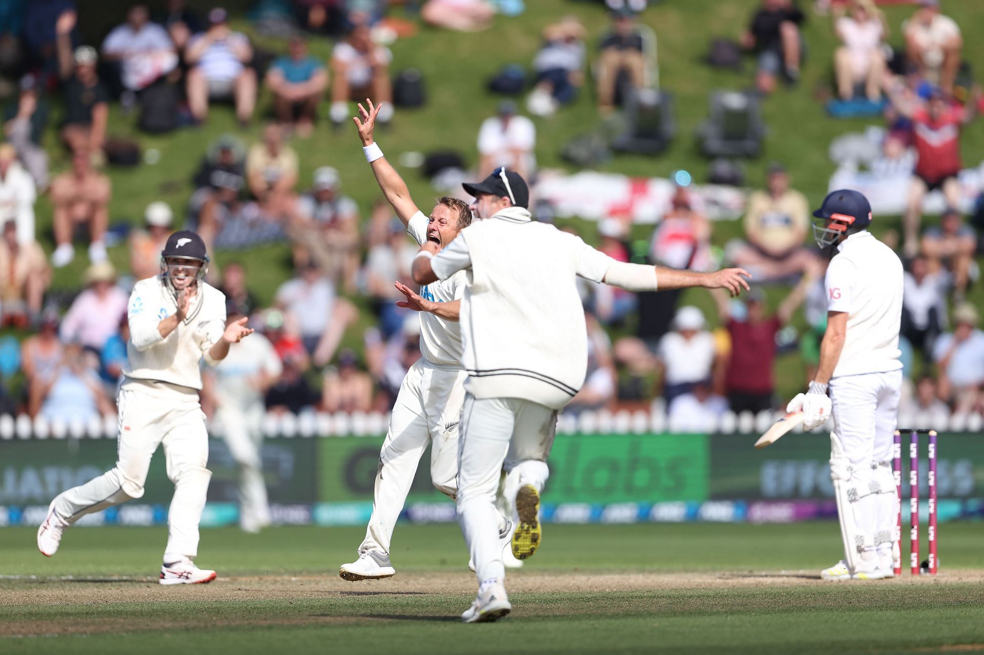 Neil Wagner took four wickets. (Credits: Getty)