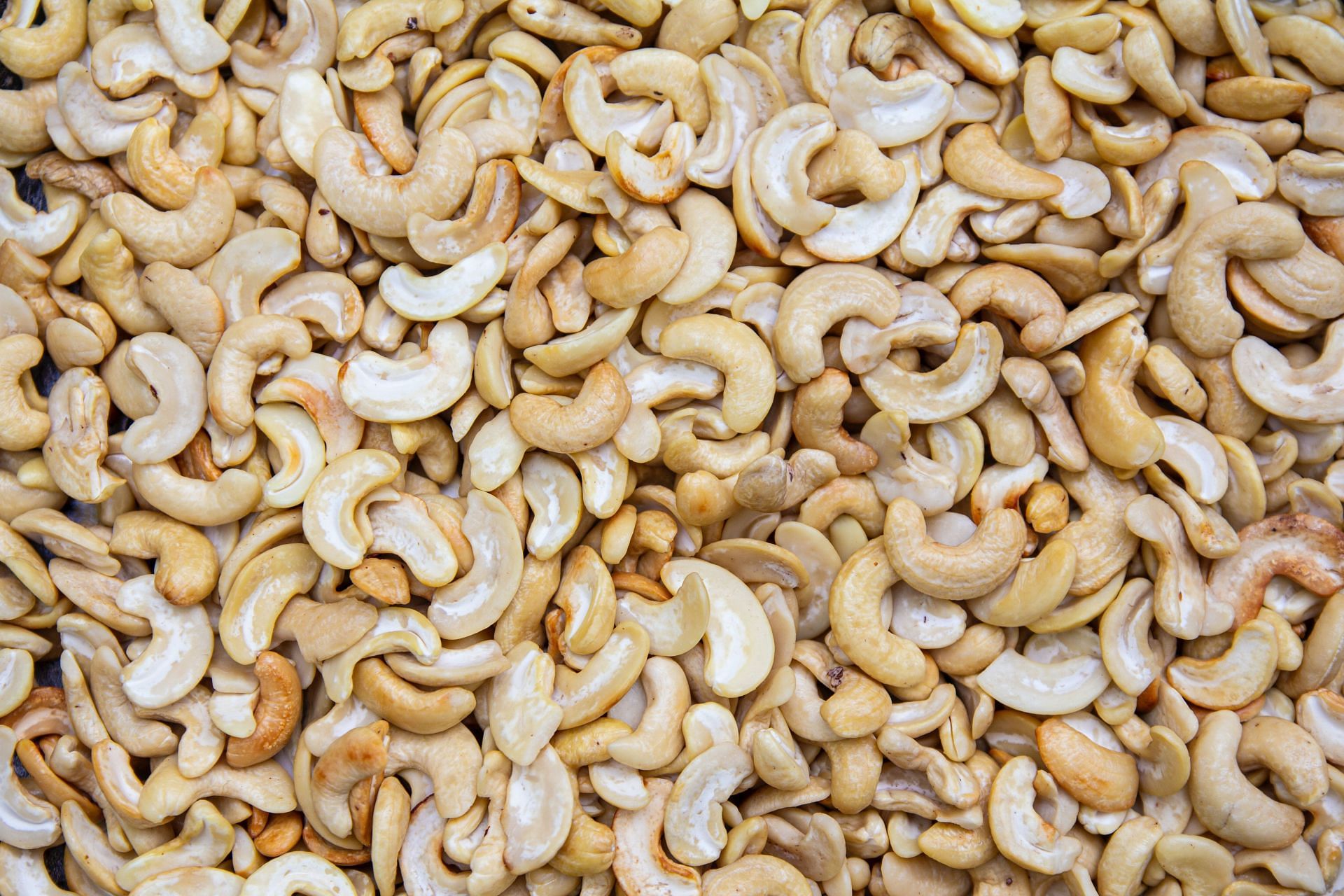 Are Cashews Good for You? Here is What You Ought to Know Earlier than Munching