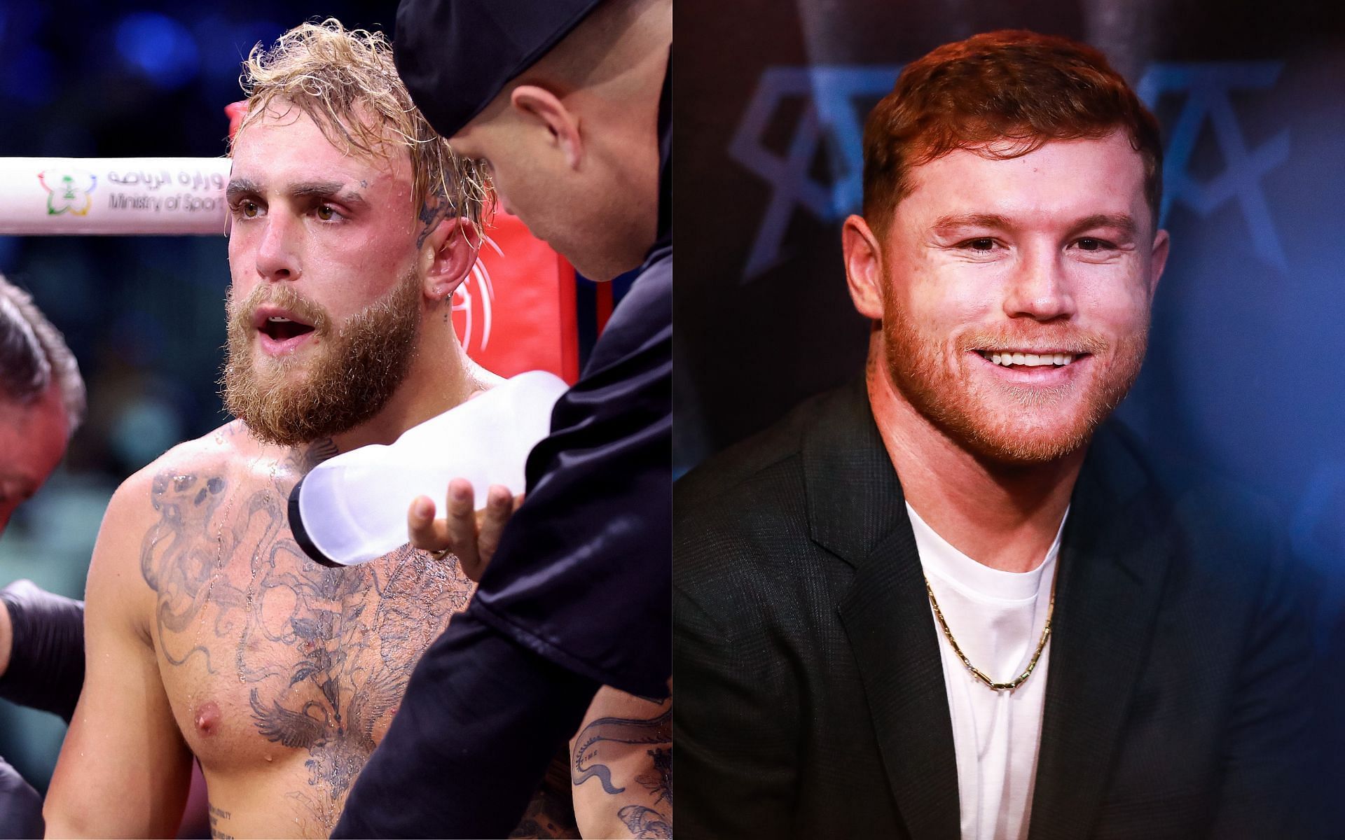 Canelo Alvarez: Fight Fans Trash Jake Paul For Infamous Canelo Alvarez ...