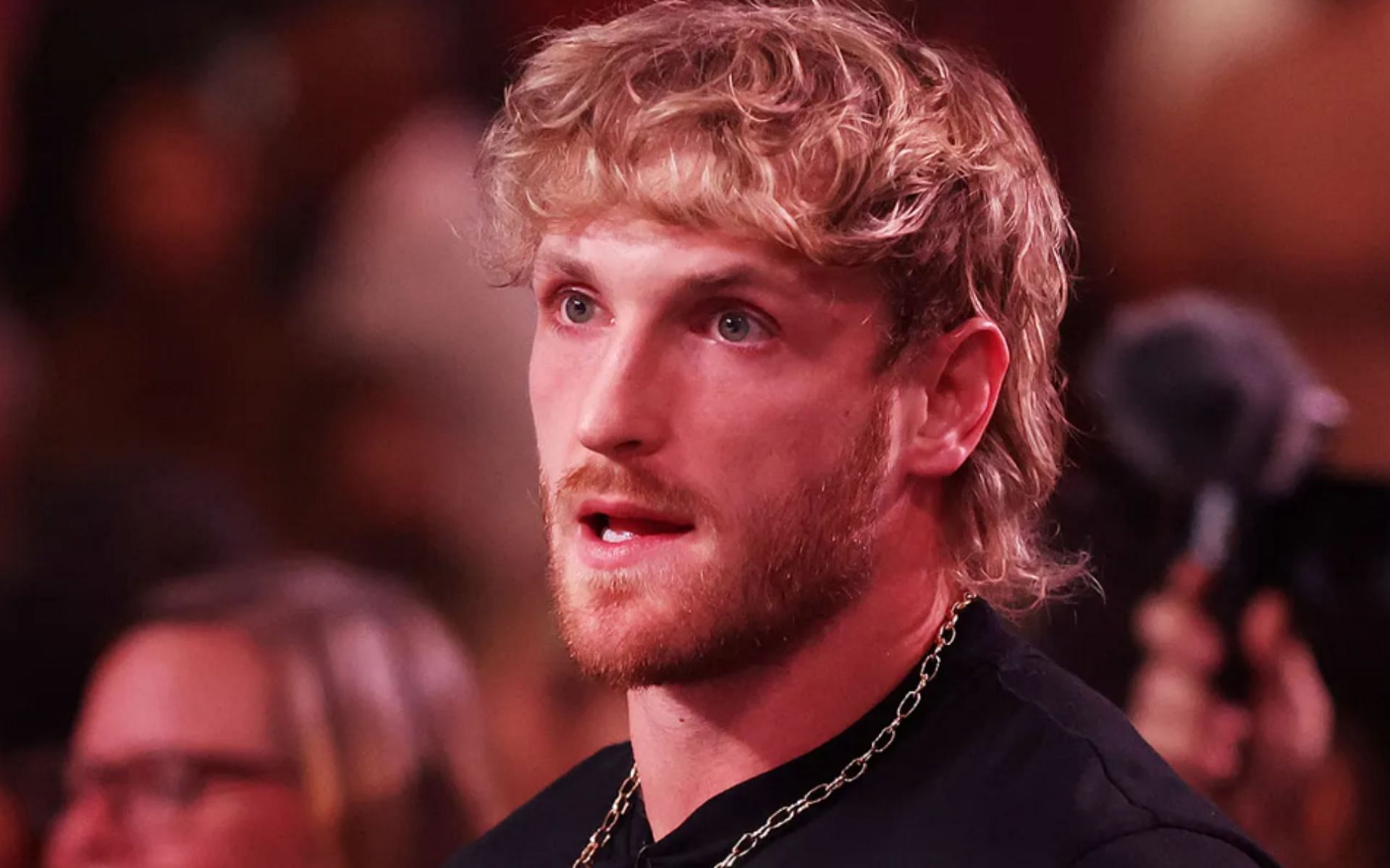 What Did Logan Paul Do In Japan Controversial Incident Revealed What Did Logan Paul Do In Japan Controversial Incident Revealed