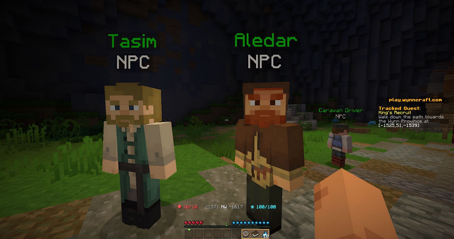 Wynncraft is a prevalent roleplay server (Image via Mojang)