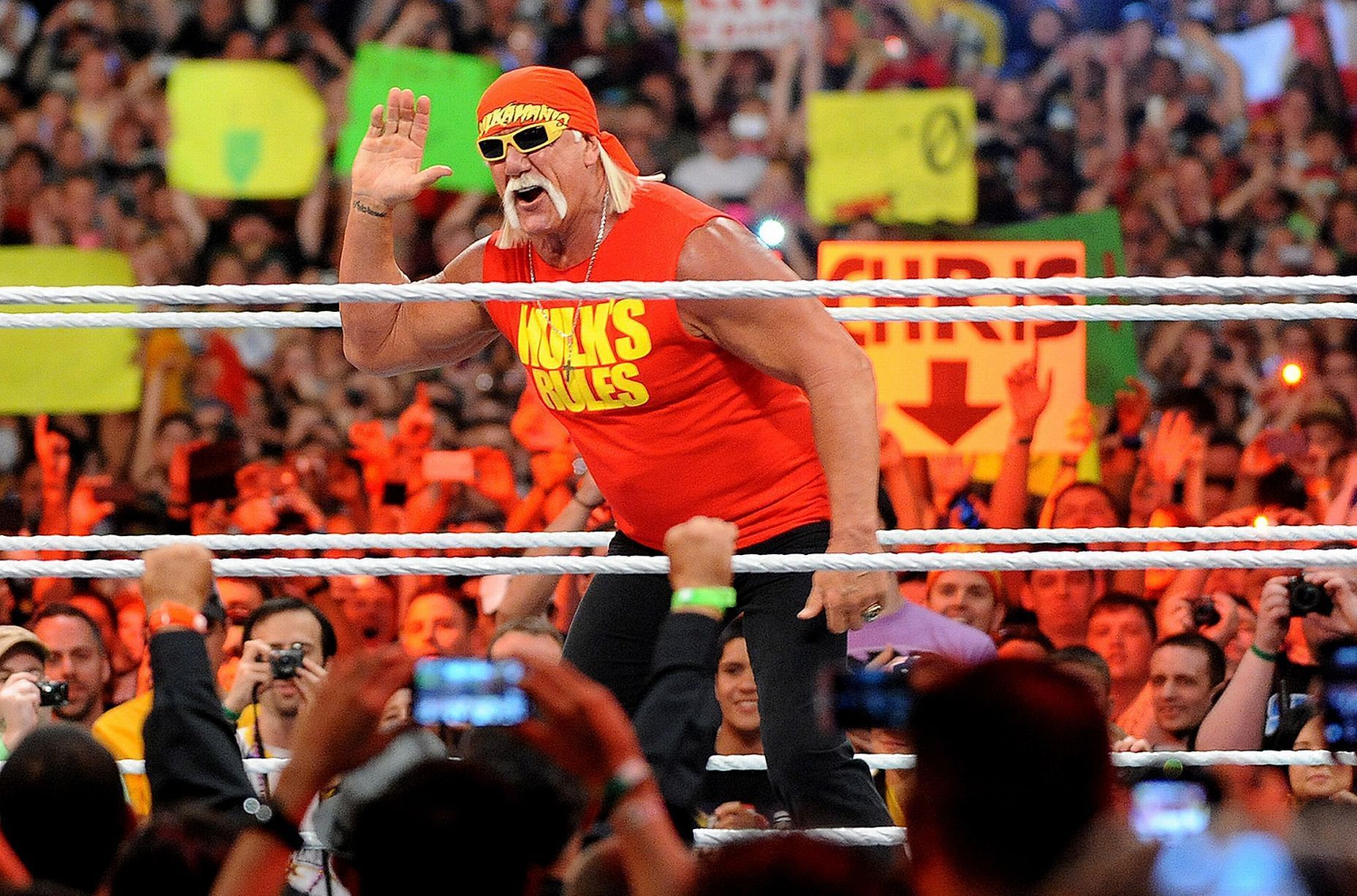 No one is bigger in professional wrestling than Hulk Hogan!