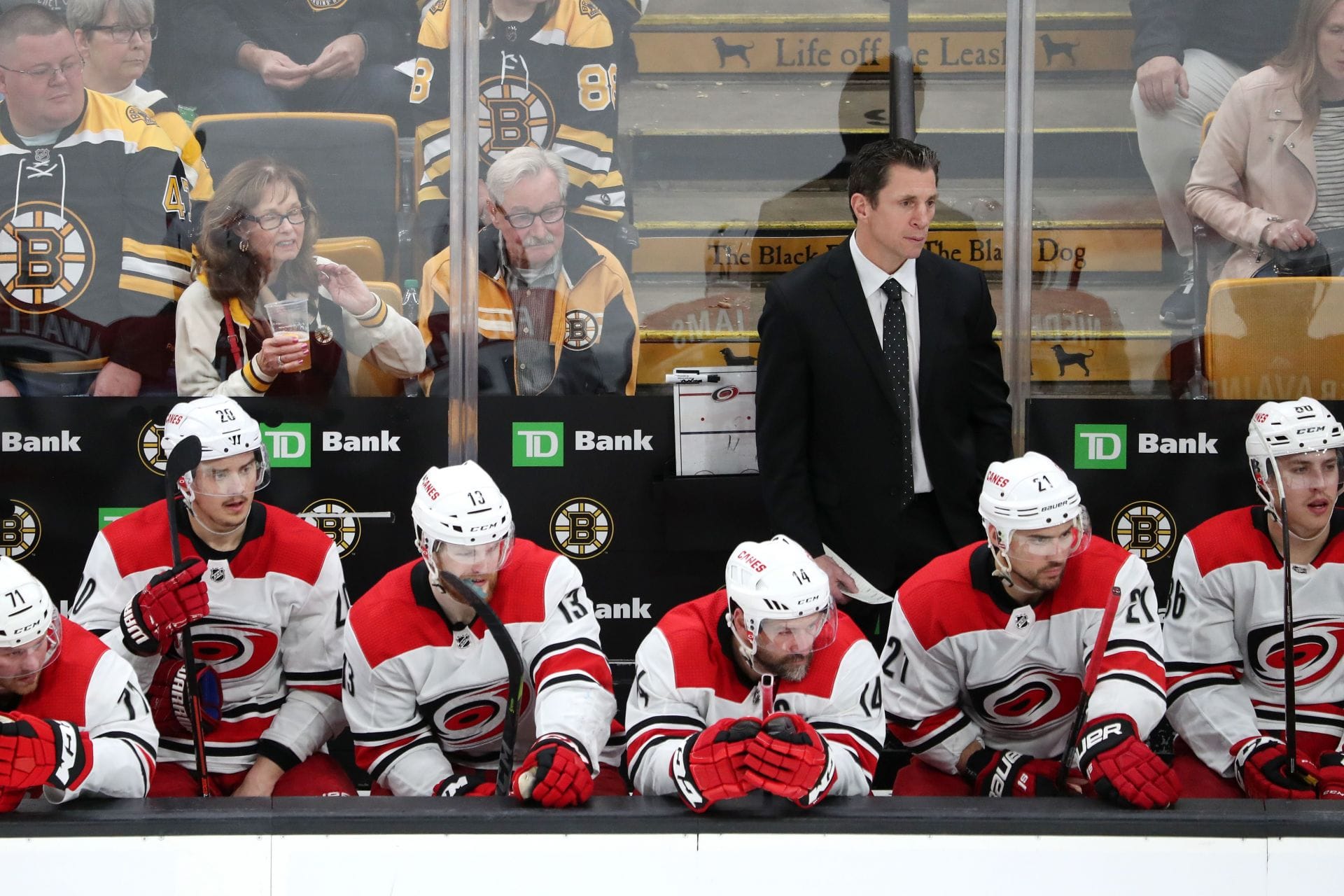 "Rod is going to coach our team for 20 years" Carolina Hurricanes